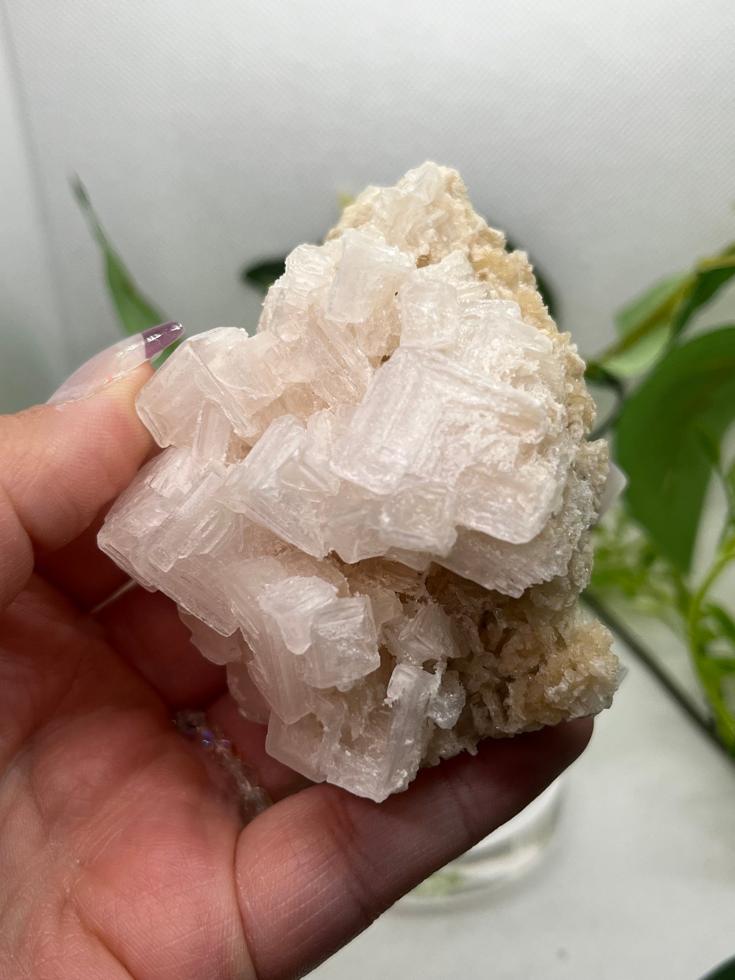 White halite from Searles lake (H)