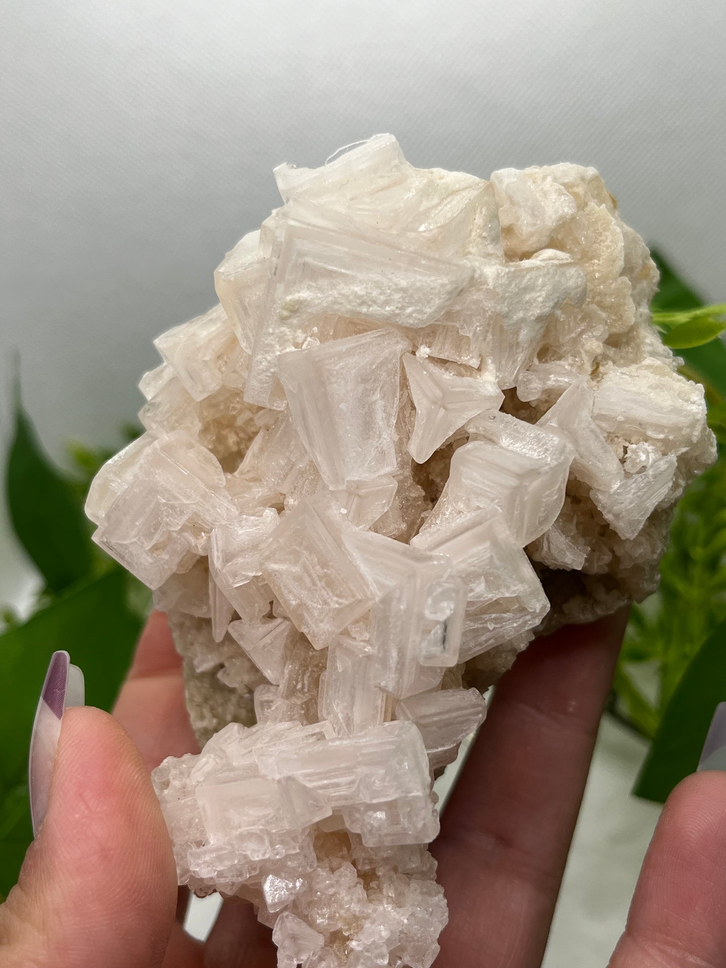 White halite from Searles lake (A)
