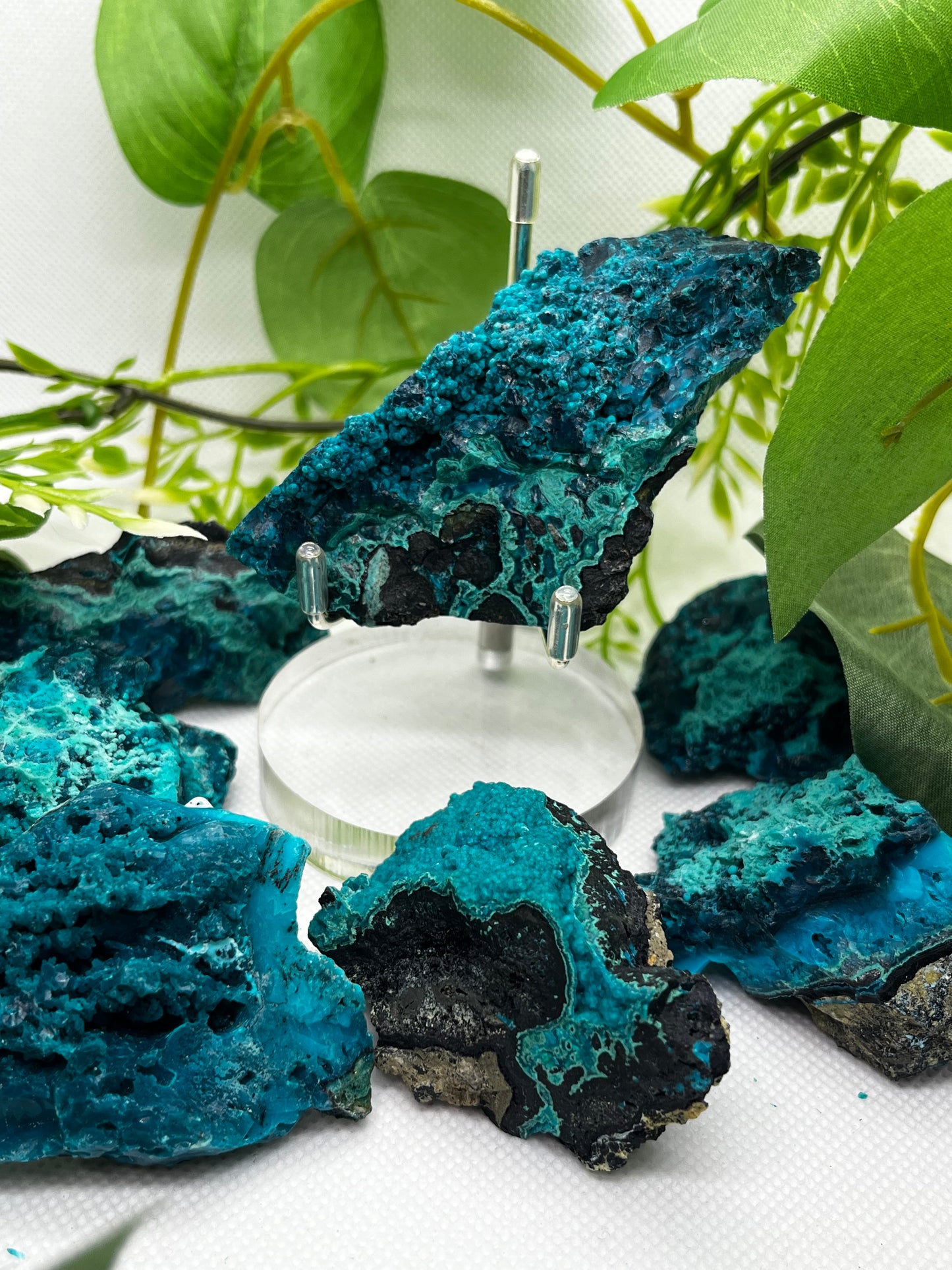 Intuitively chose Chrysocolla