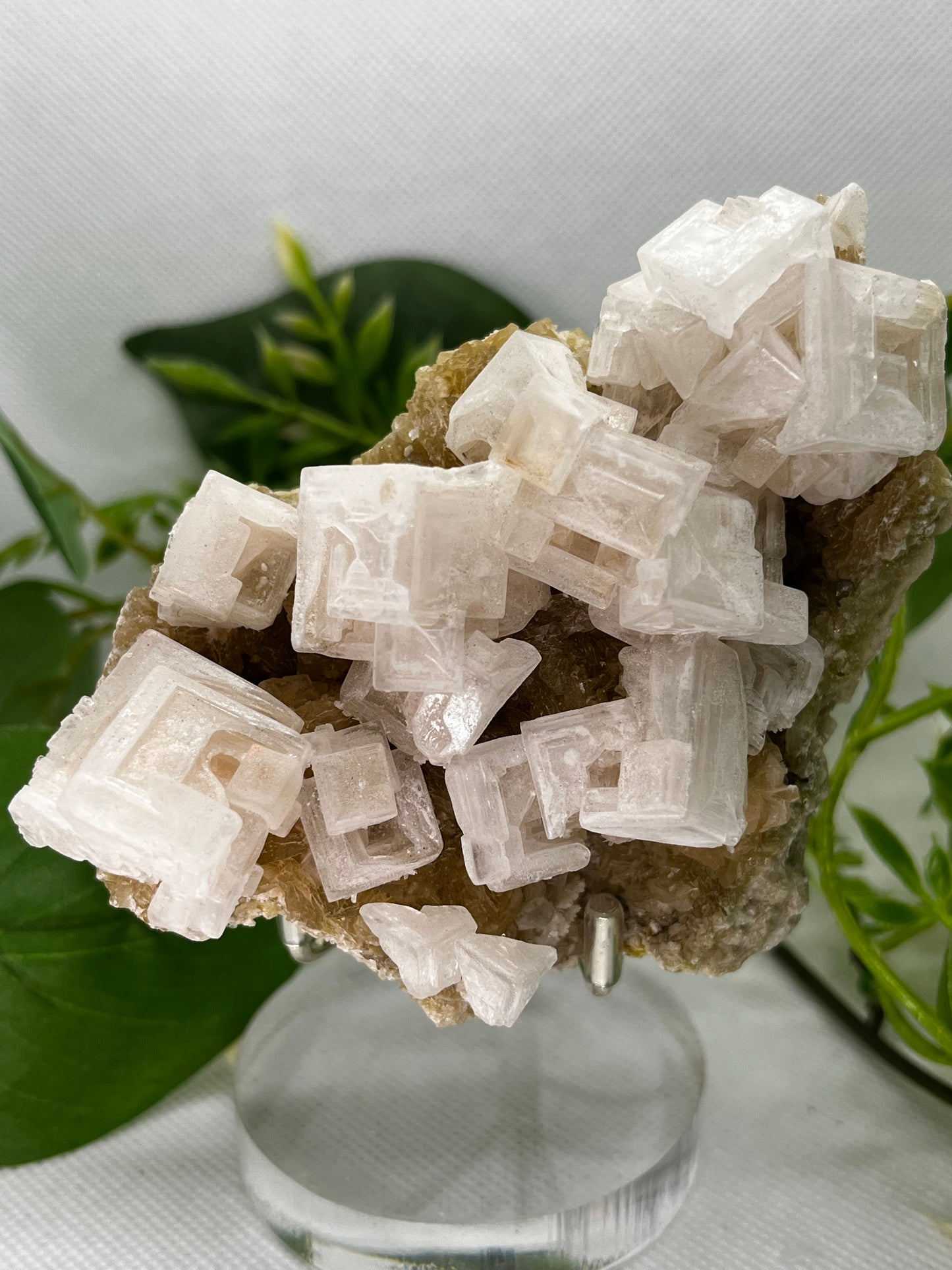 White halite from Searles lake (I)