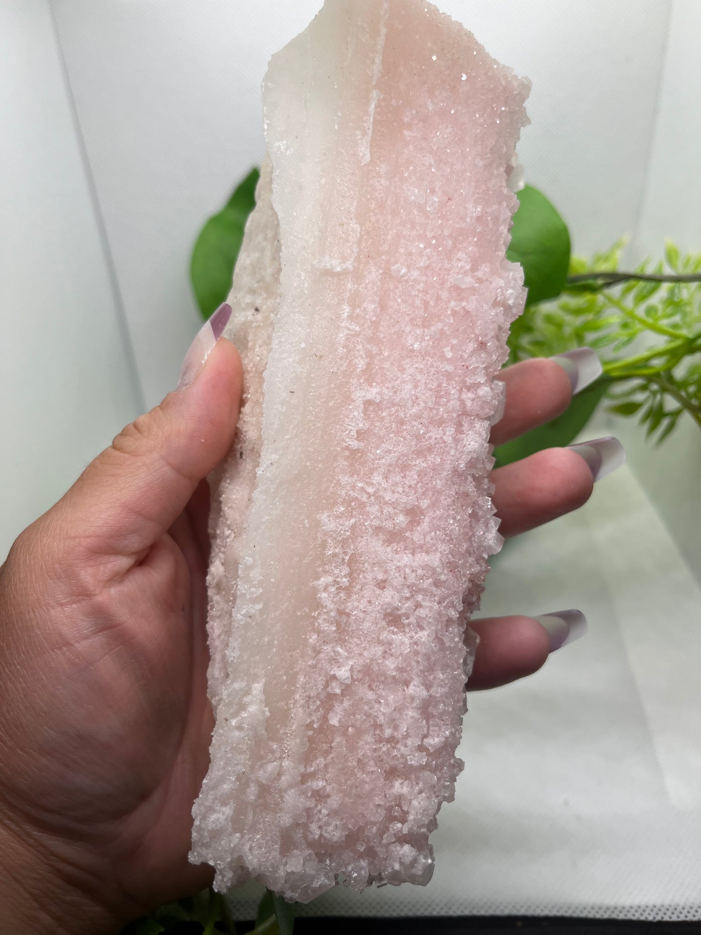 Pink halite F