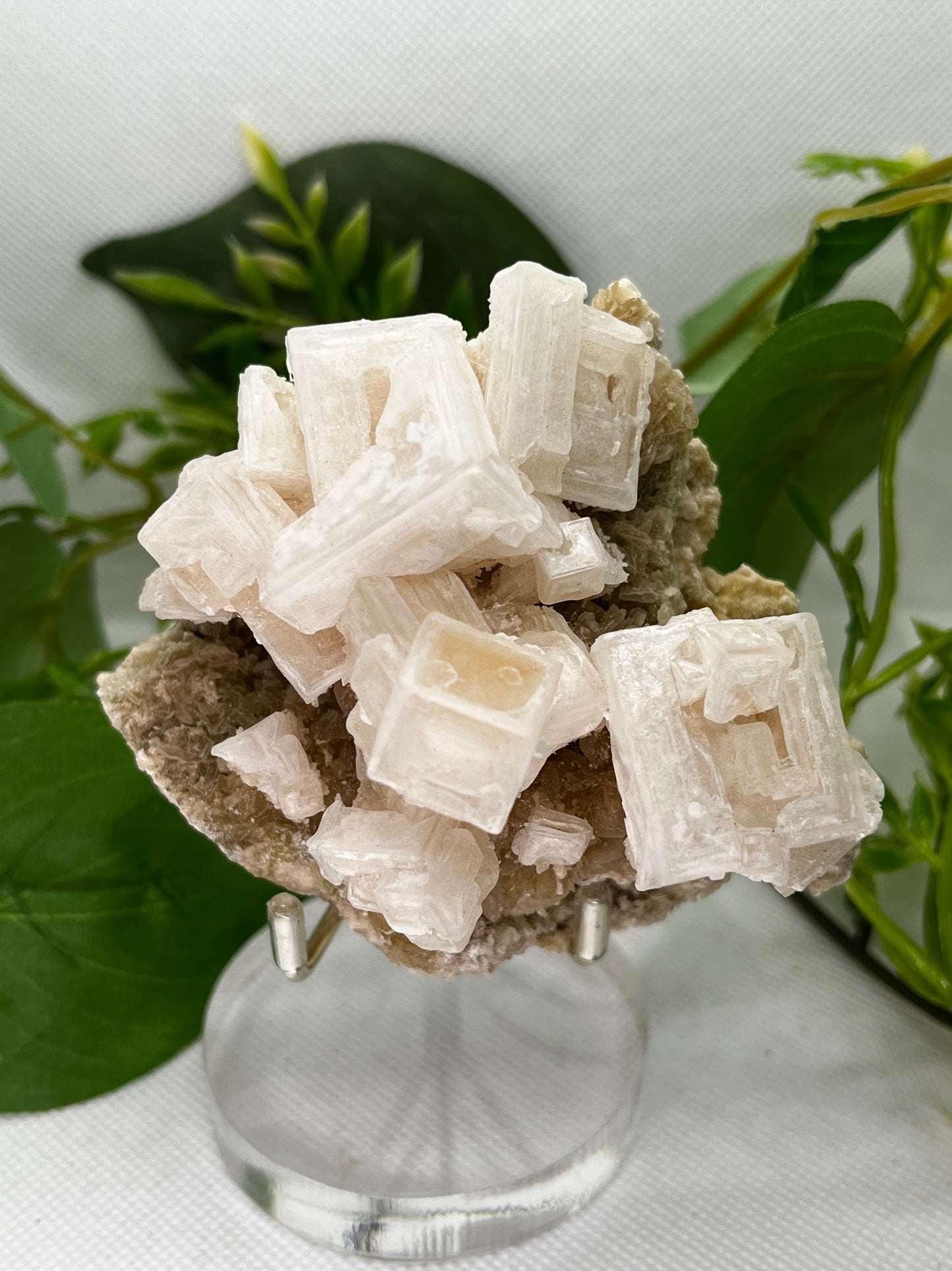 White halite from Searles lake (I)