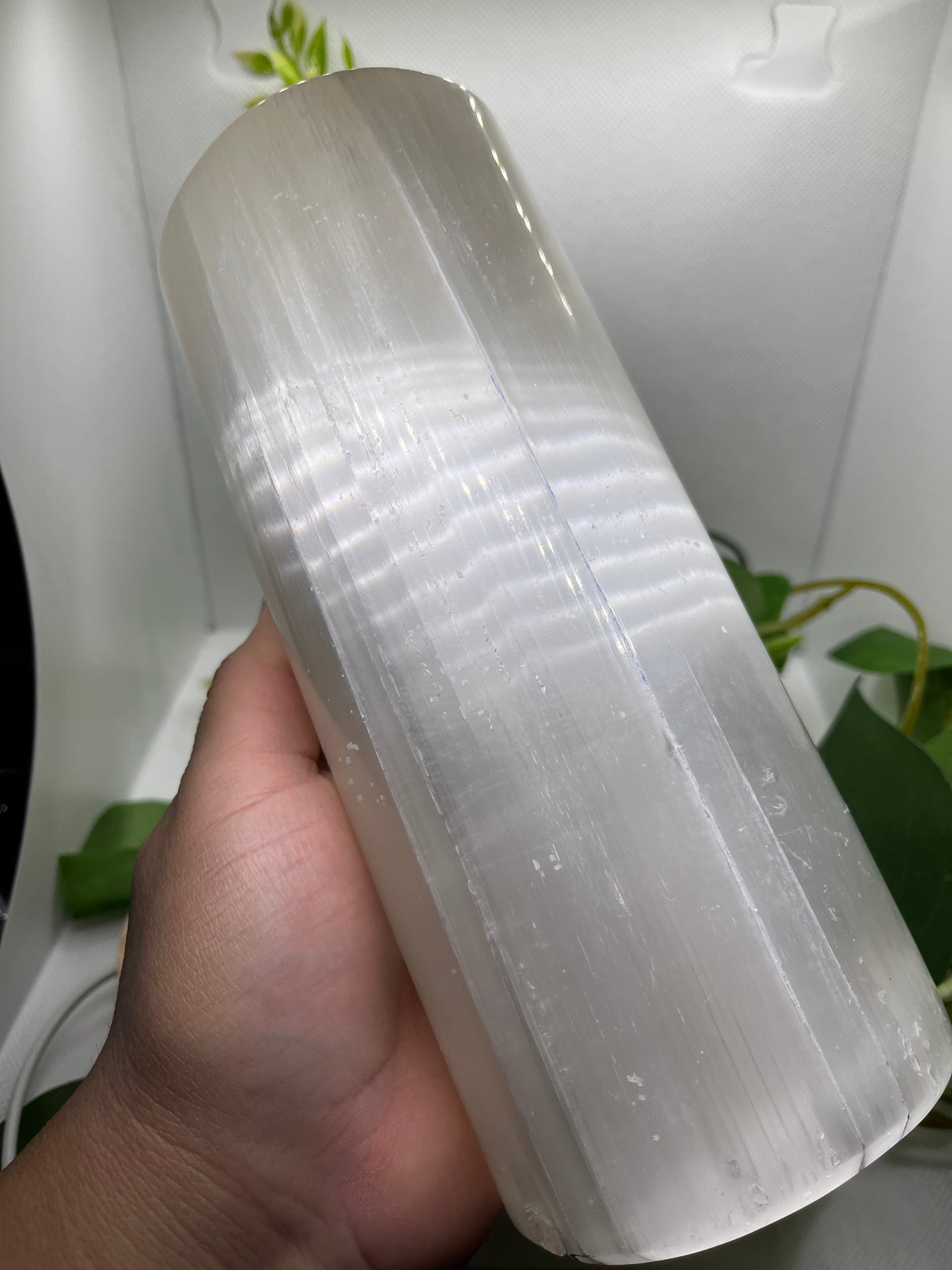 Polished Selenite lamp with light up stand