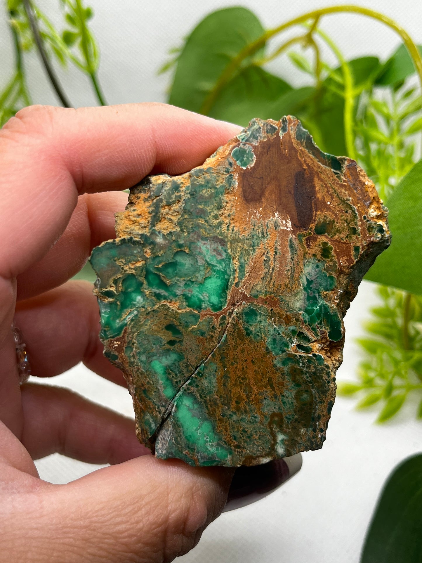 Rare Variscite from Zamora , Spain (E)