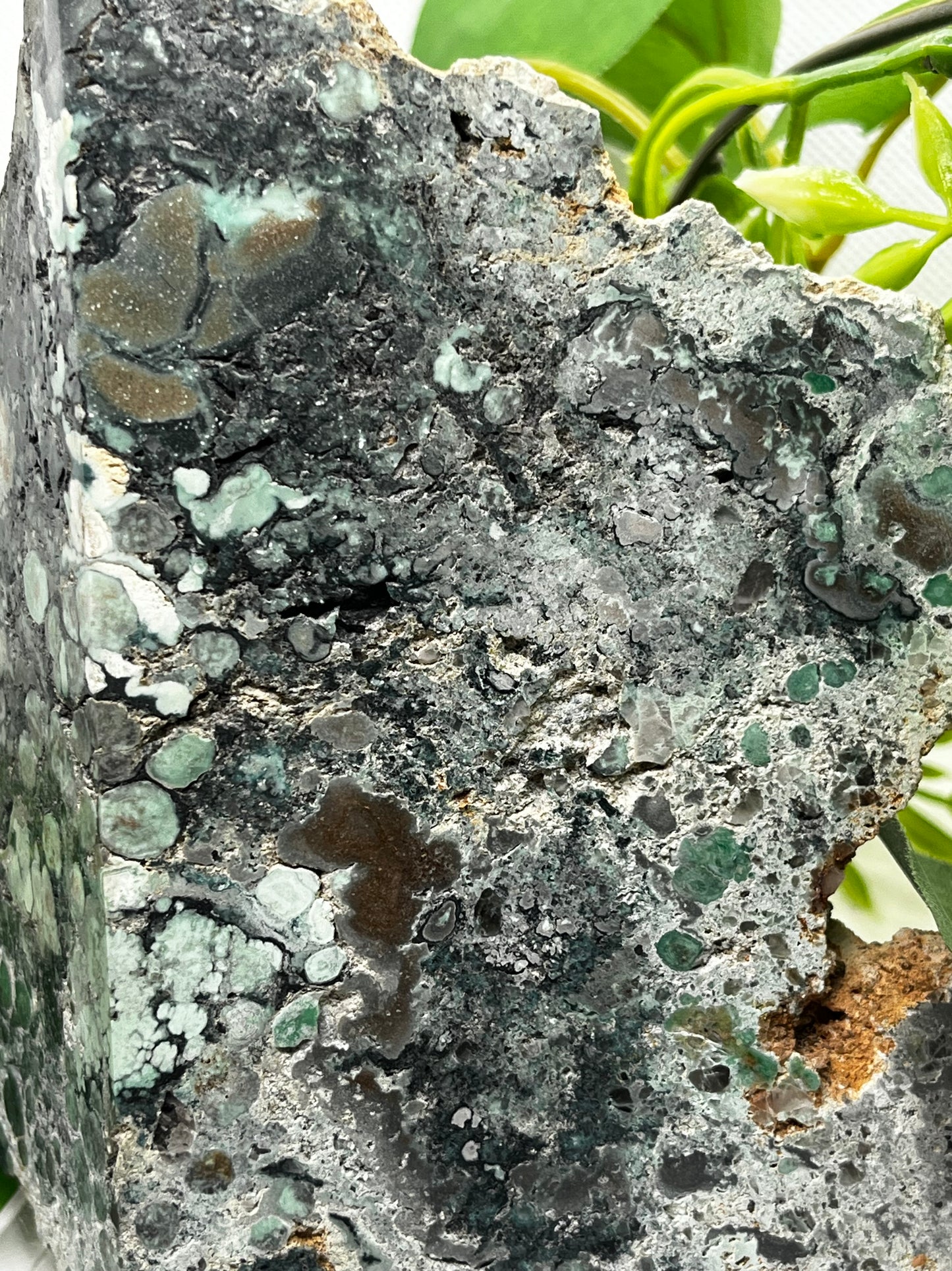 Rare Variscite from Zamora , Spain (A)