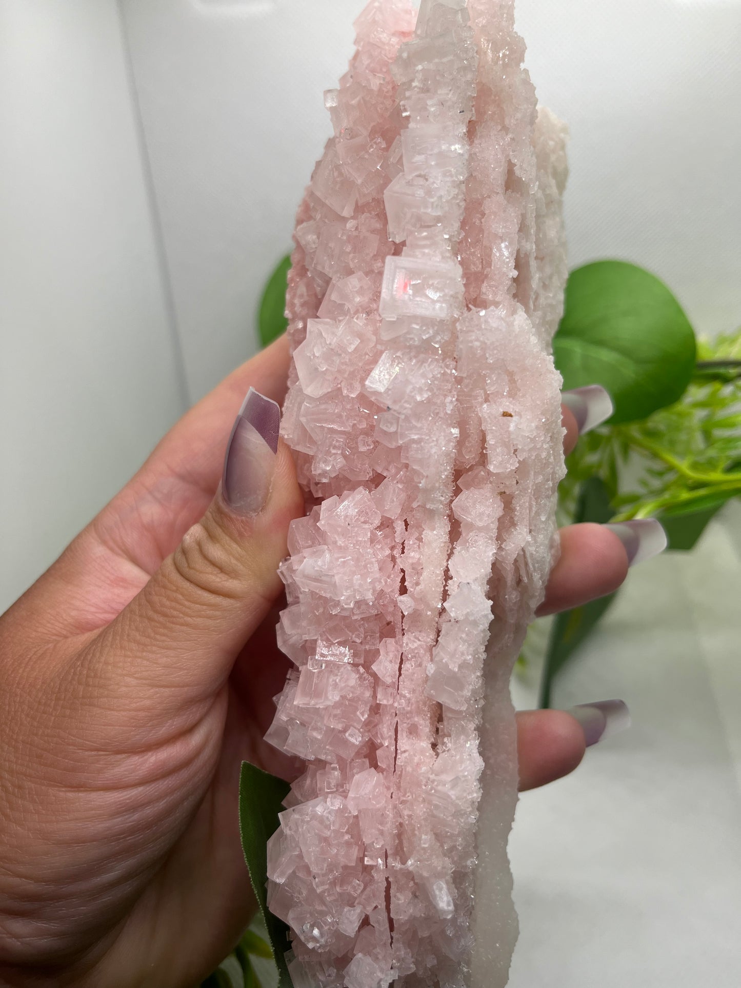Pink halite E