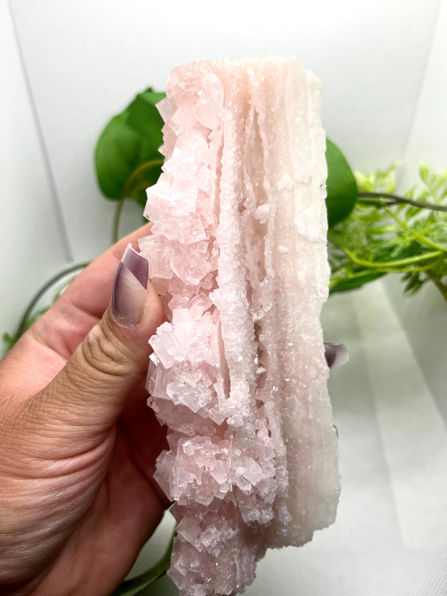 Pink halite C