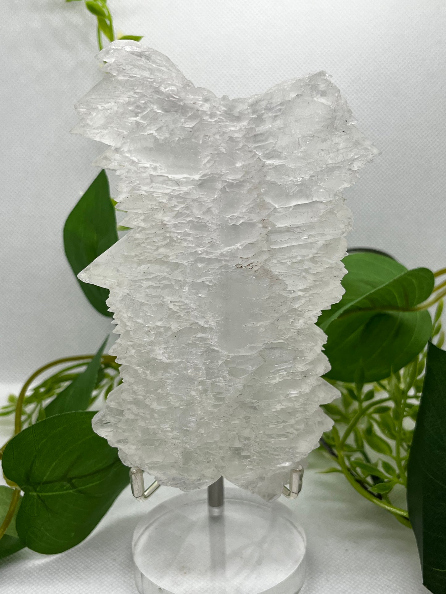 Fishtail selenite from Zona De Silencio (A)