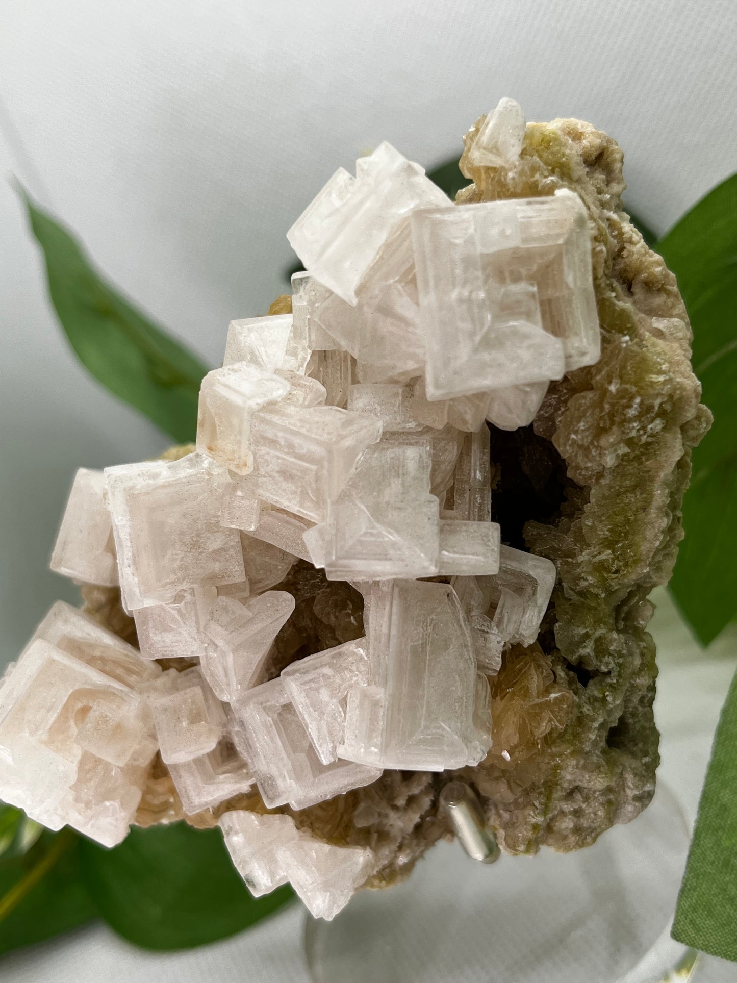 White halite from Searles lake (I)