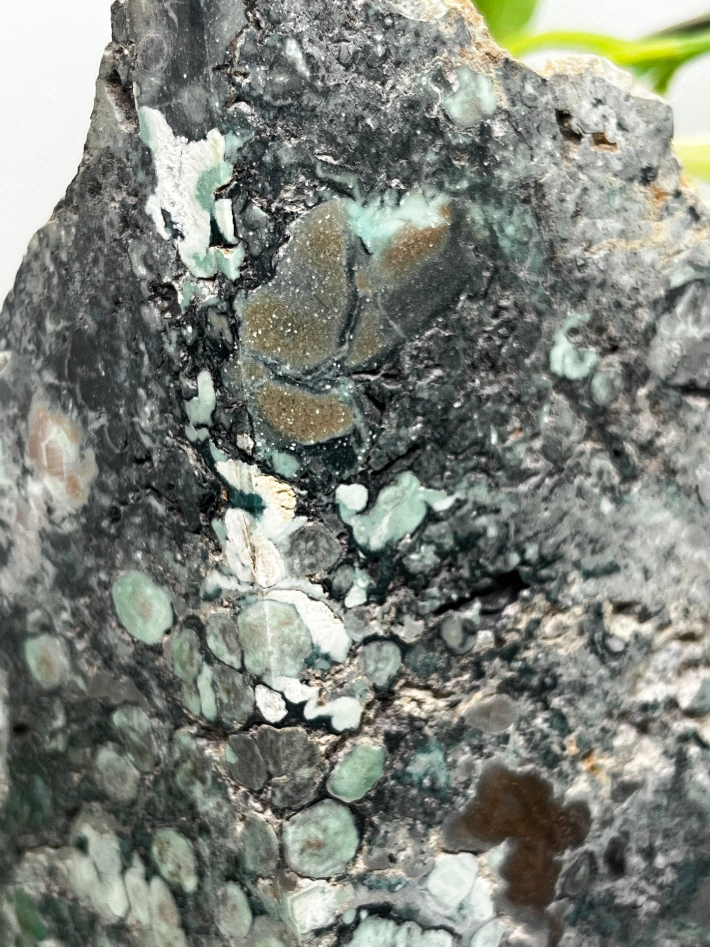 Rare Variscite from Zamora , Spain (A)