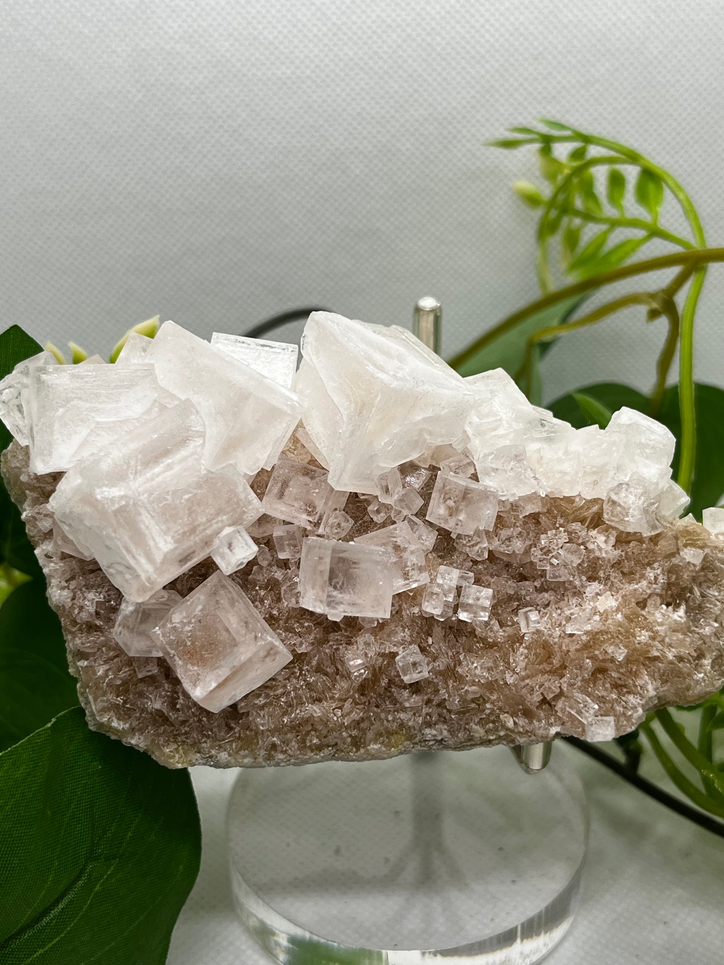White halite from Searles lake (B)