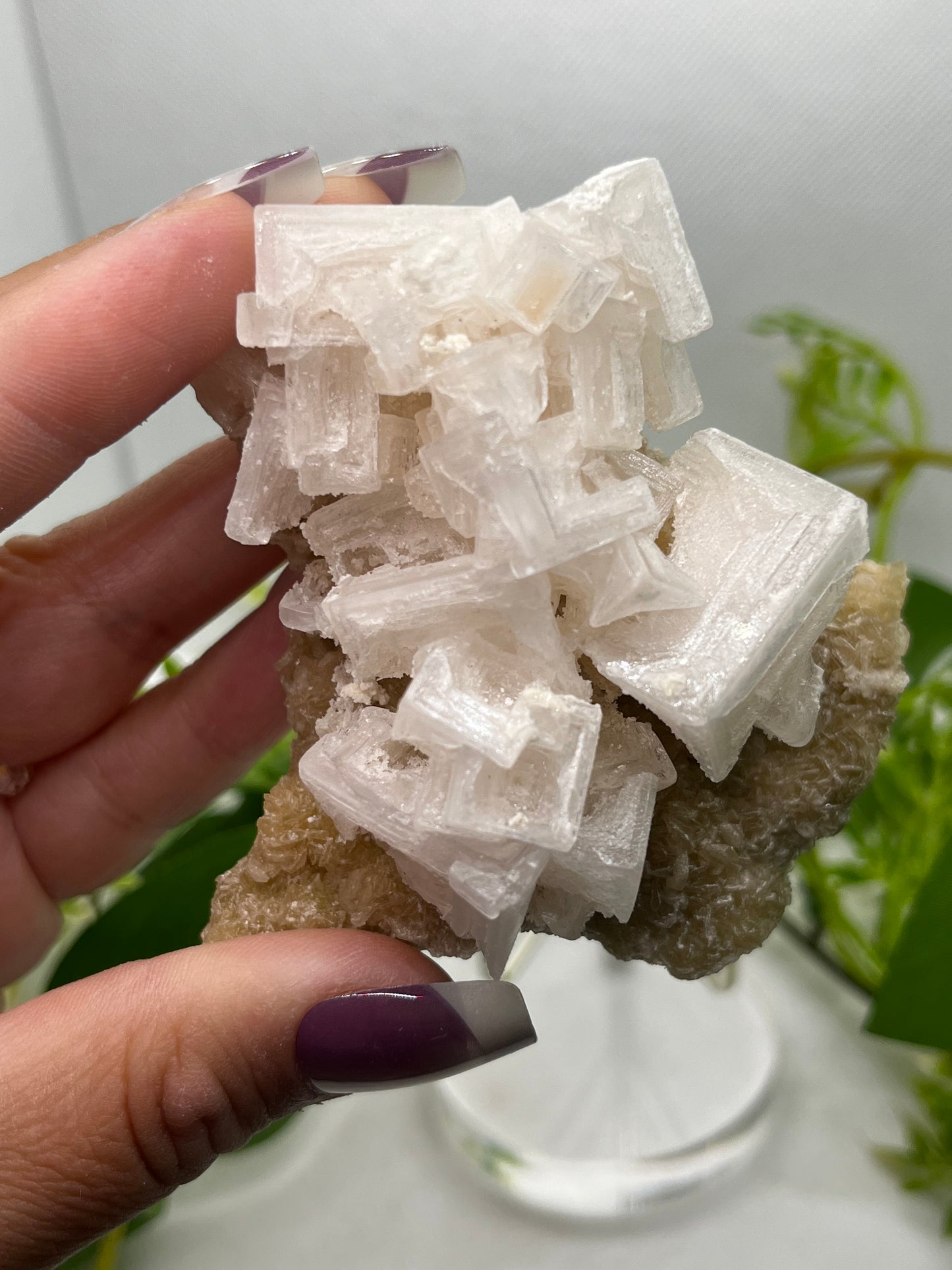 White halite from Searles lake (C)