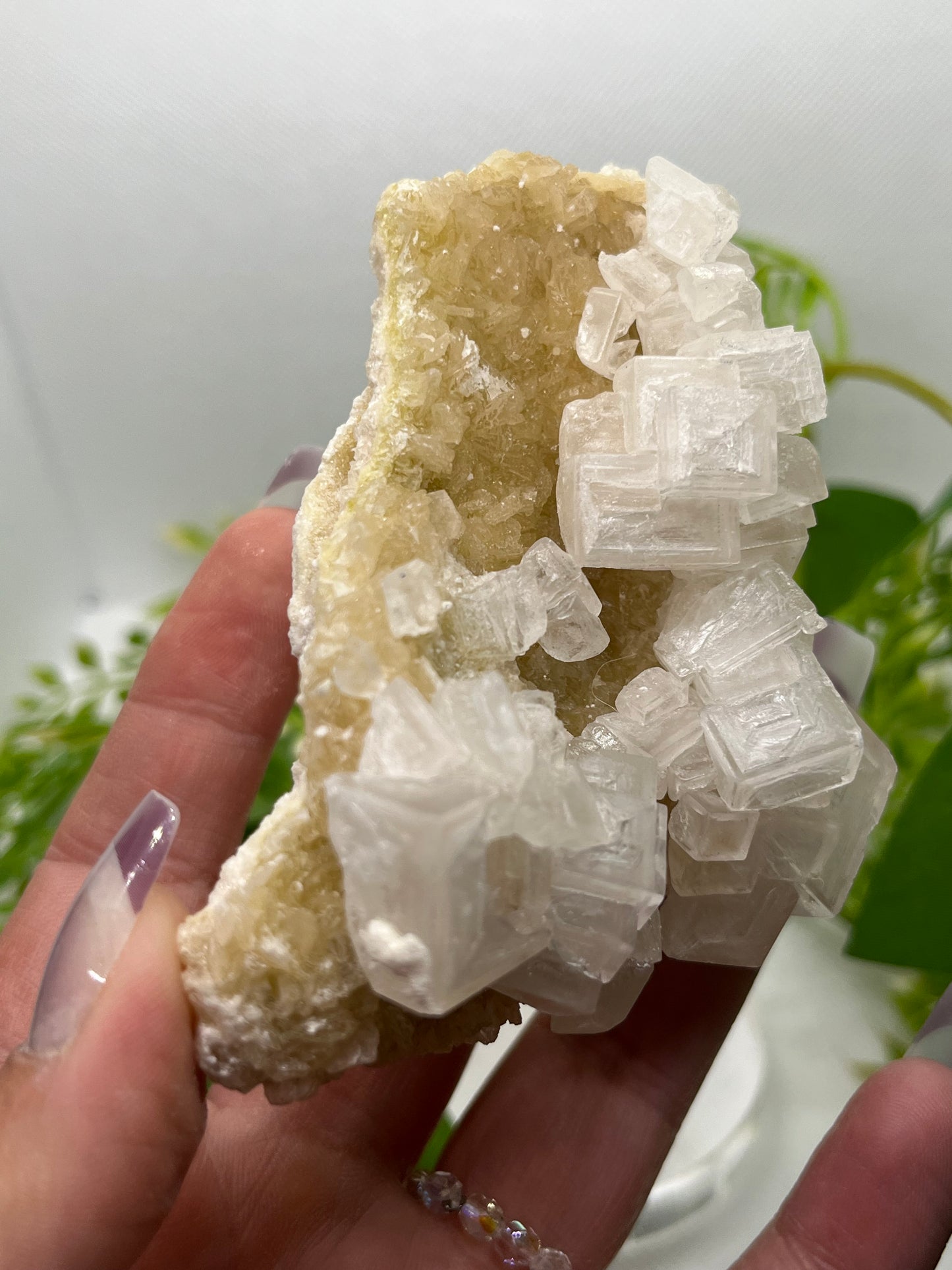 White halite from Searles lake (G)