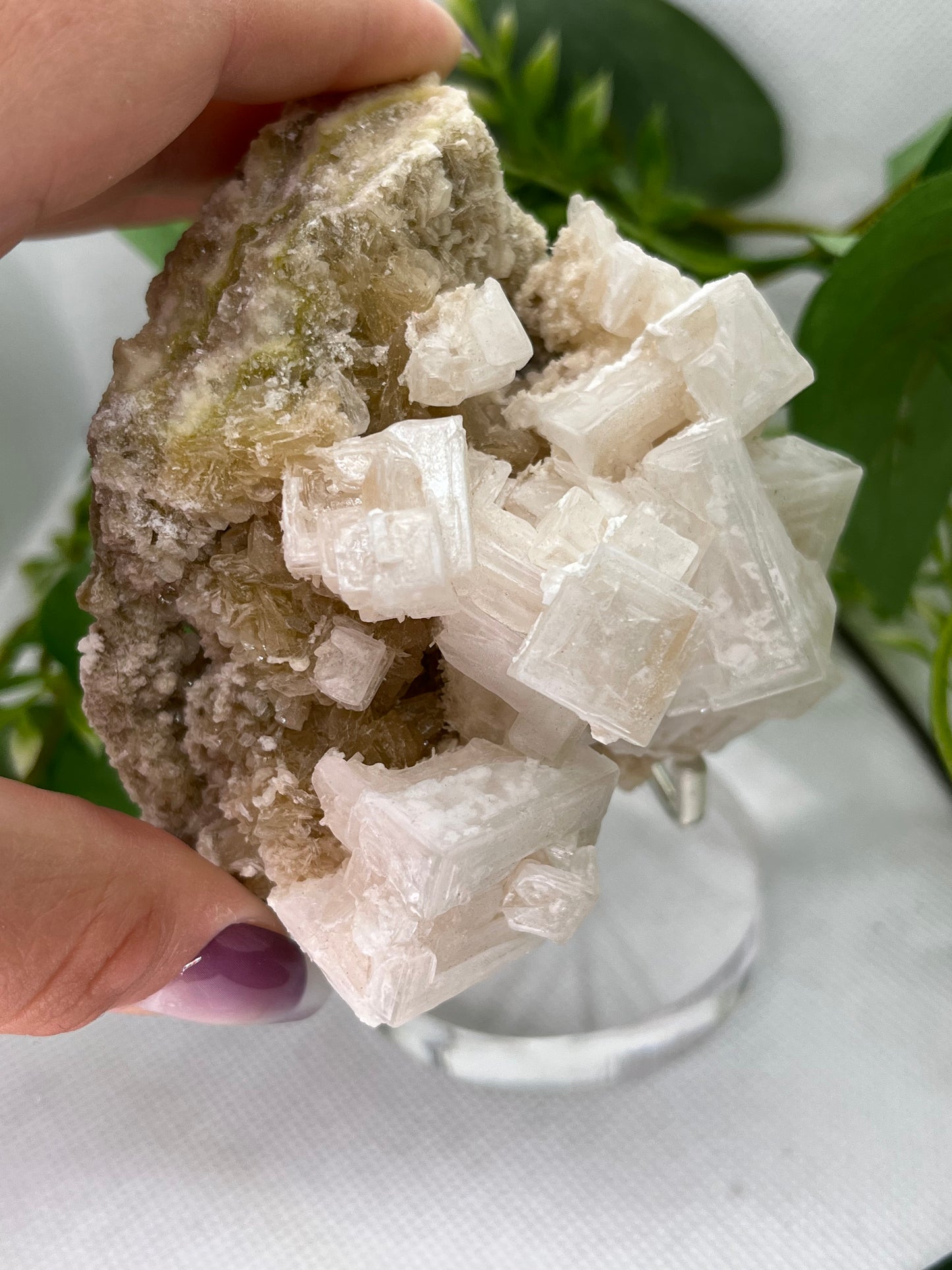 White halite from Searles lake (I)