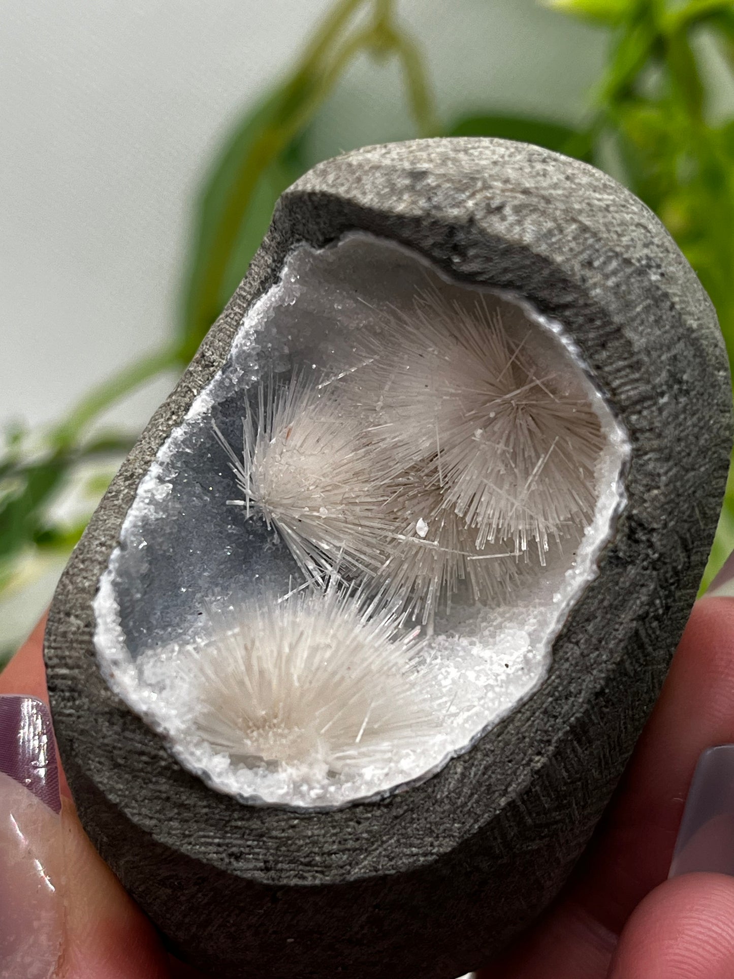 Scolecite geode on blue chalcedony H