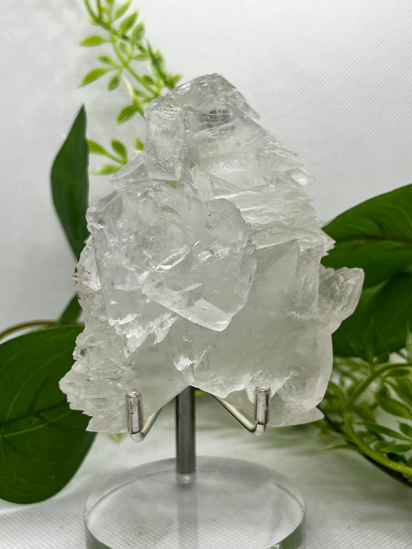 Fishtail selenite from Zona De Silencio (C)
