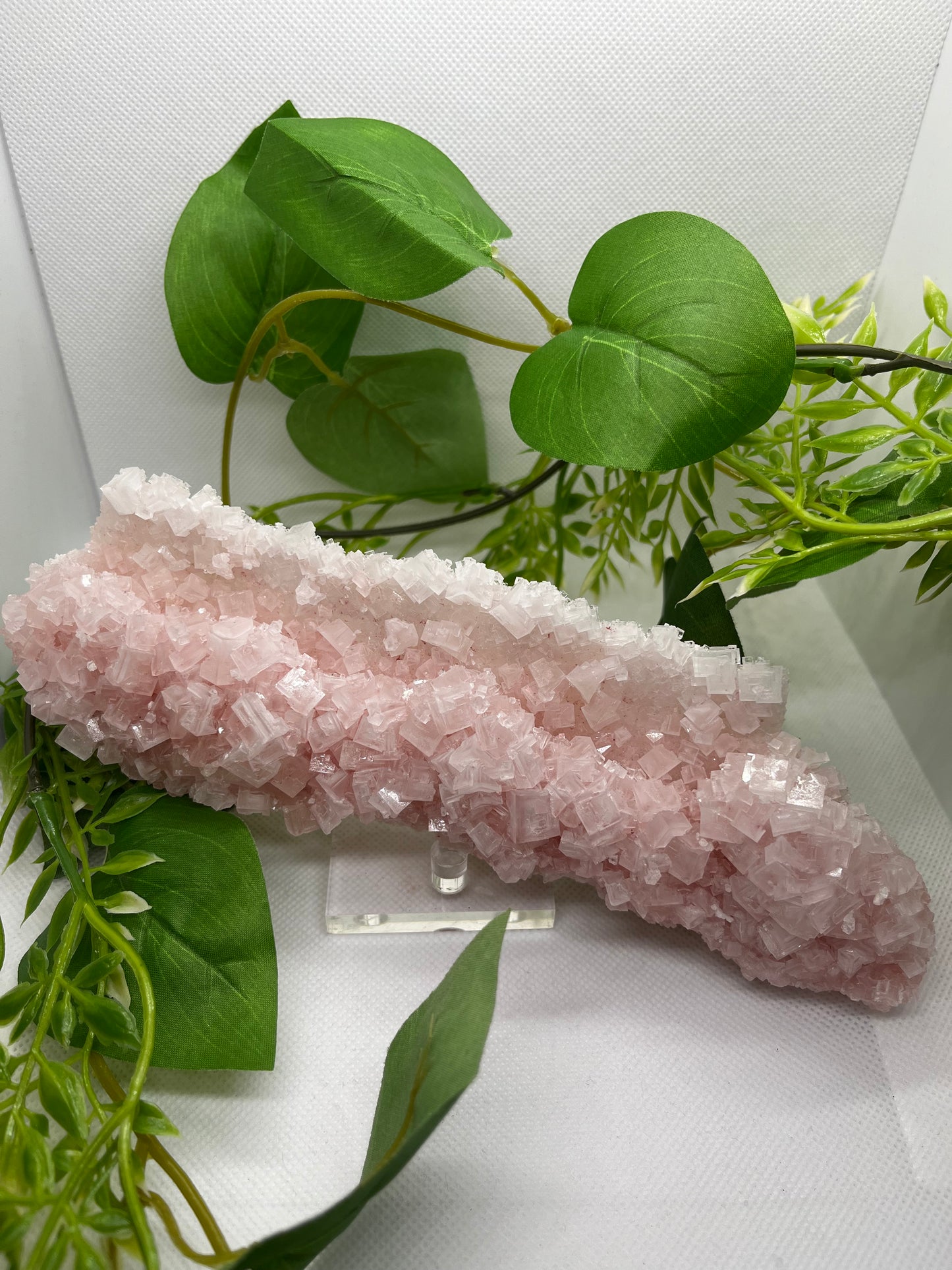 Pink halite D