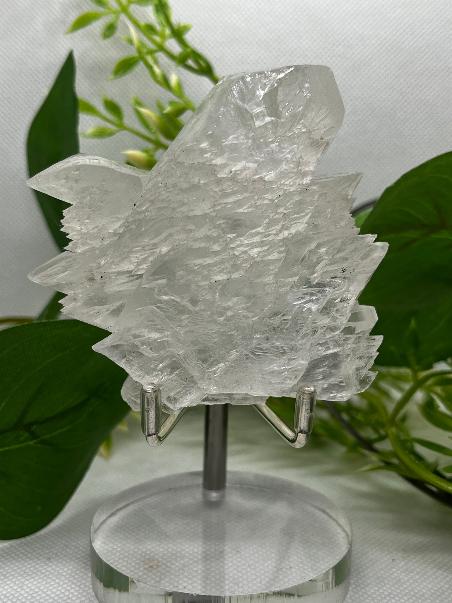 Fishtail selenite from Zona De Silencio (E)