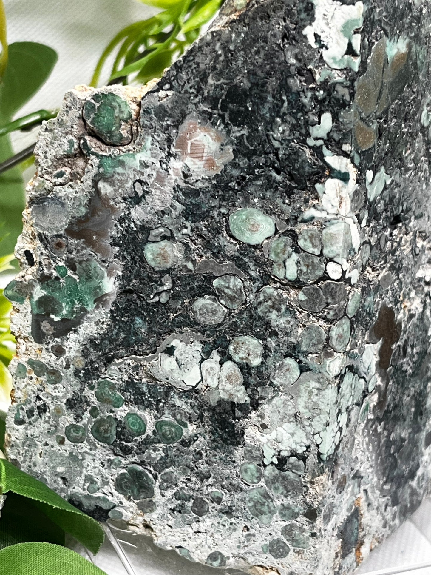 Rare Variscite from Zamora , Spain (A)
