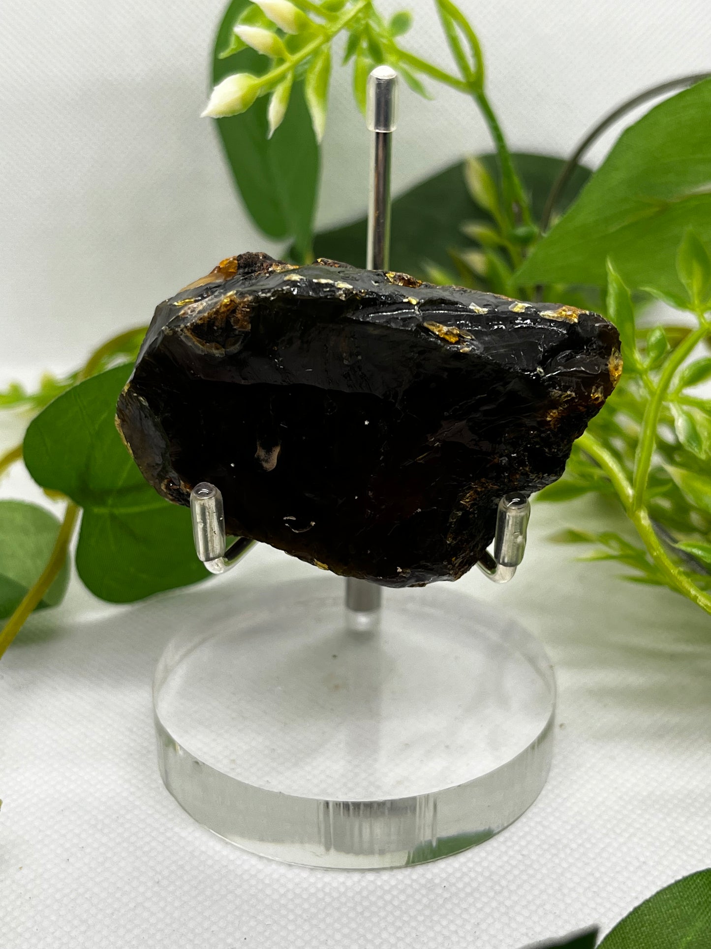 Amber from Indonesia (D)