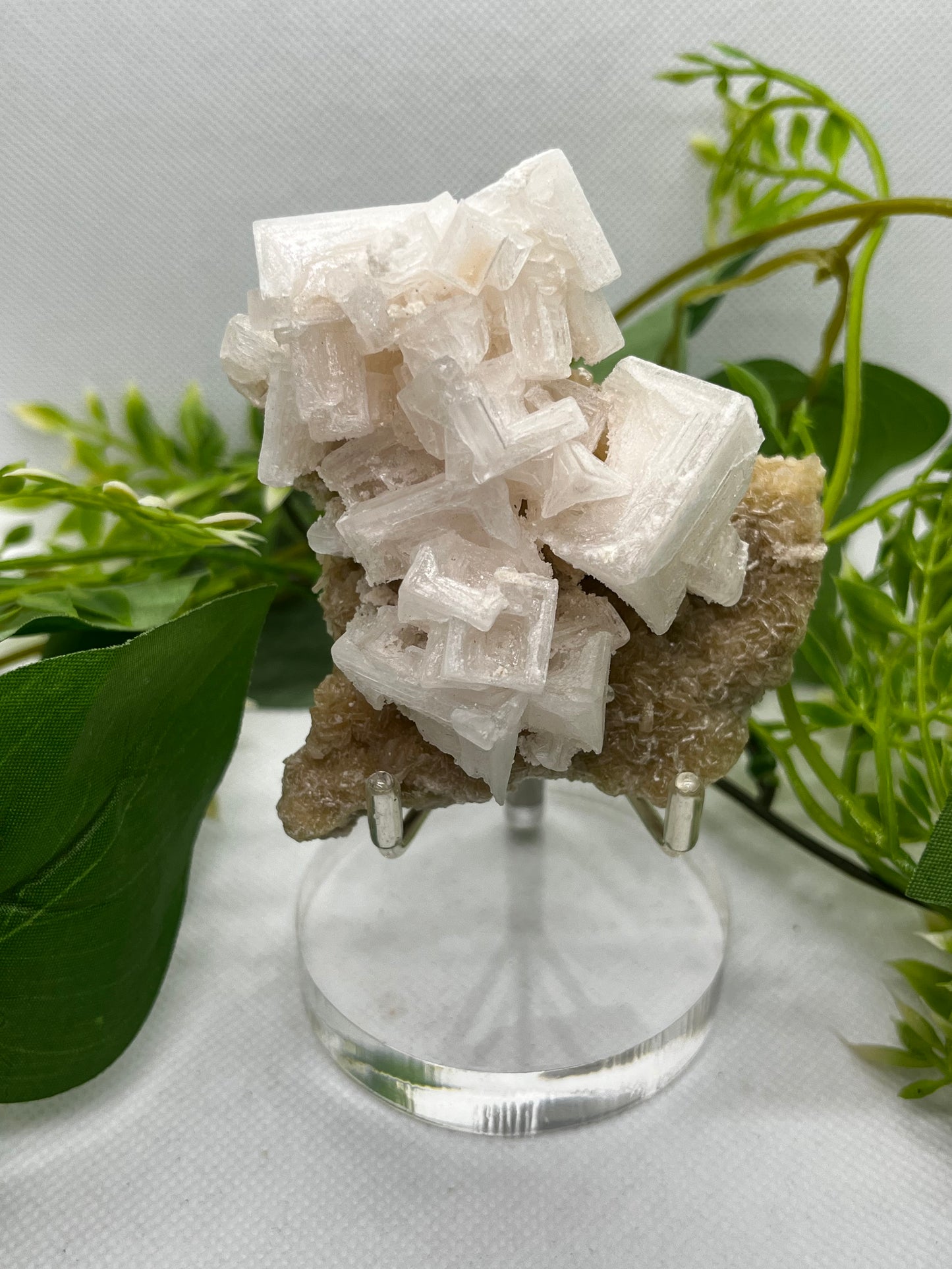 White halite from Searles lake (C)