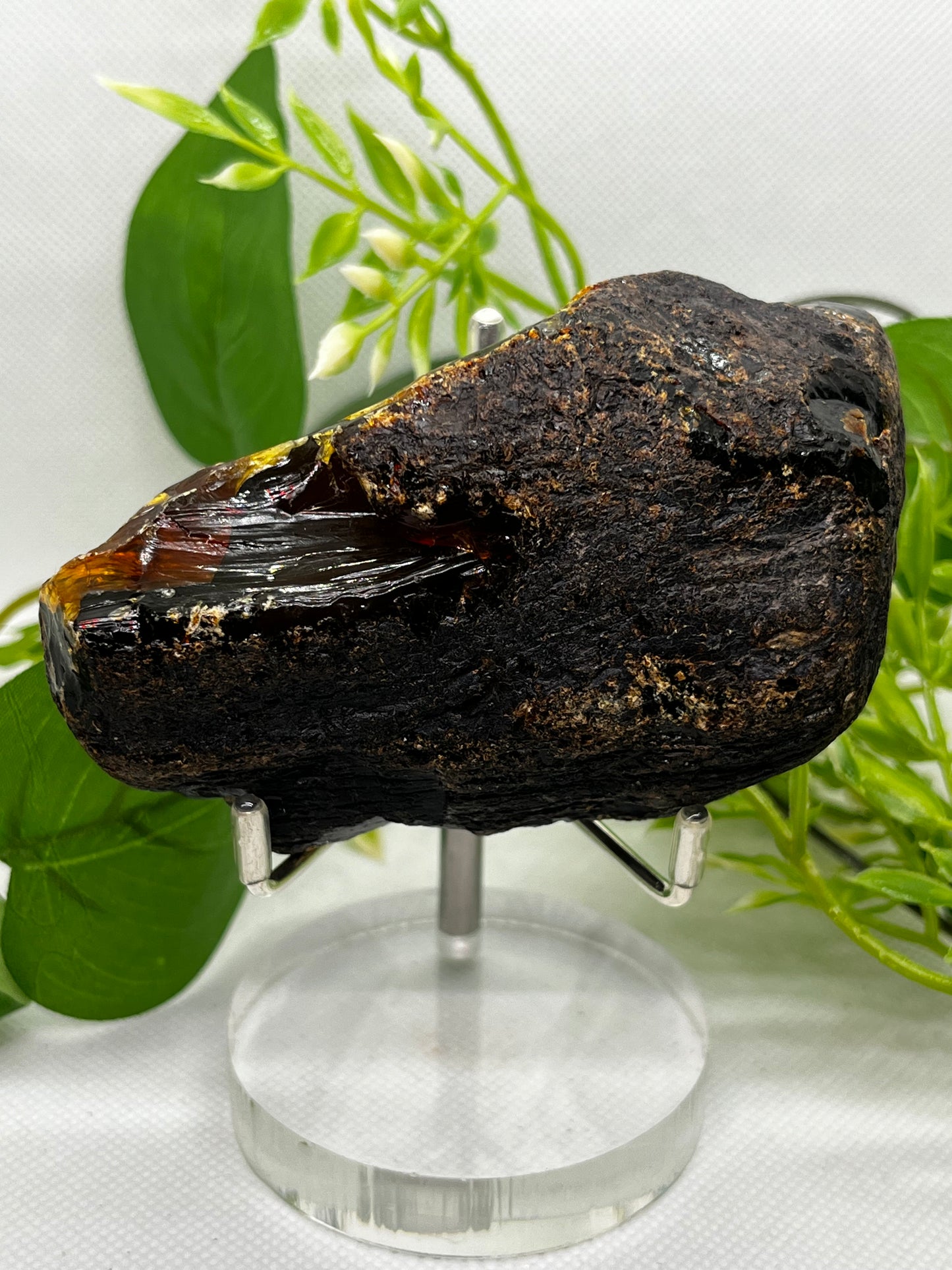 Amber from Indonesia (A)