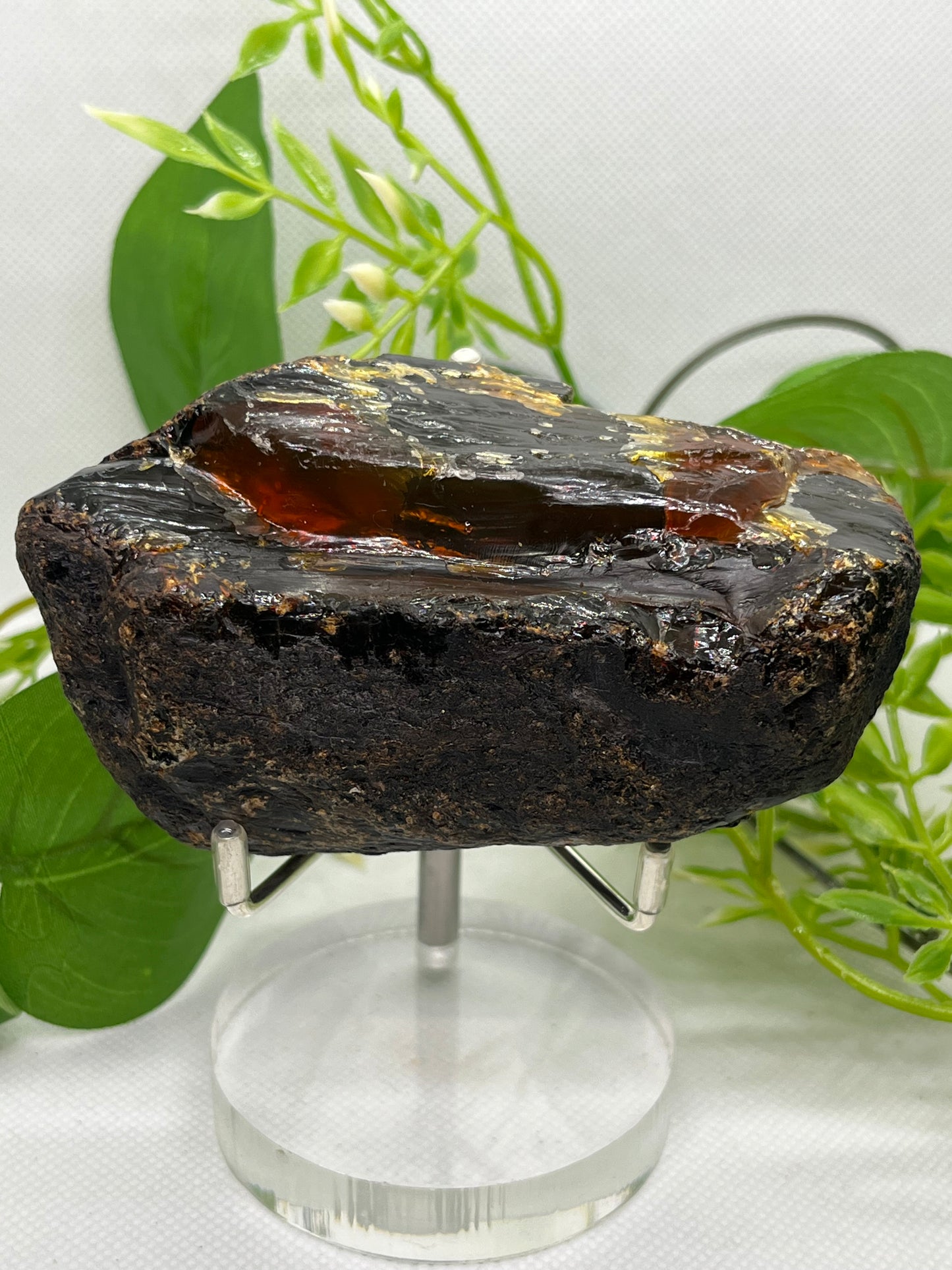 Amber from Indonesia (A)