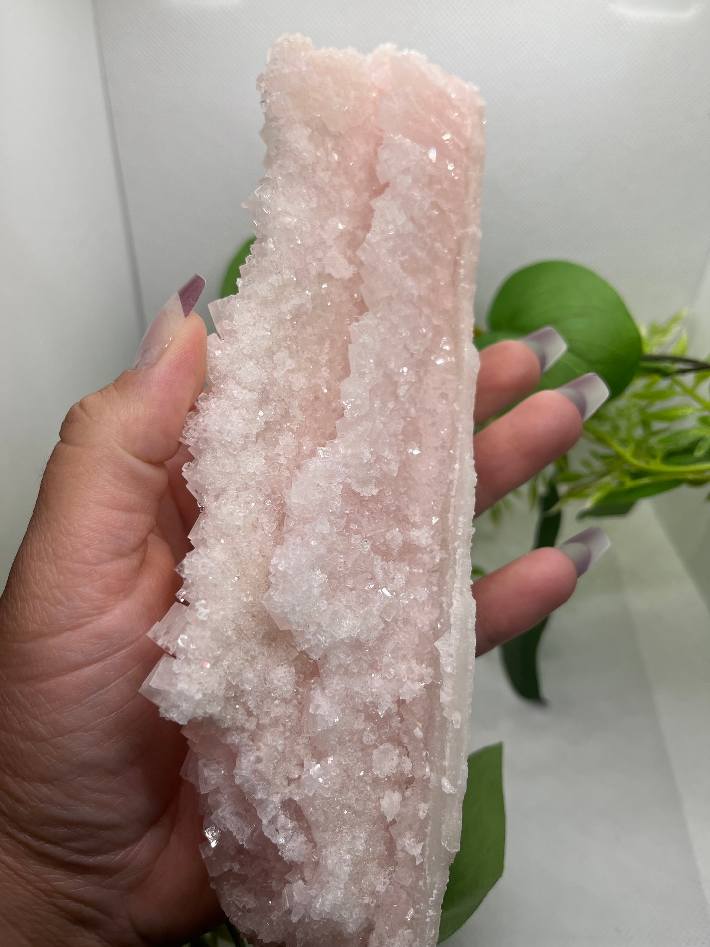Pink halite D