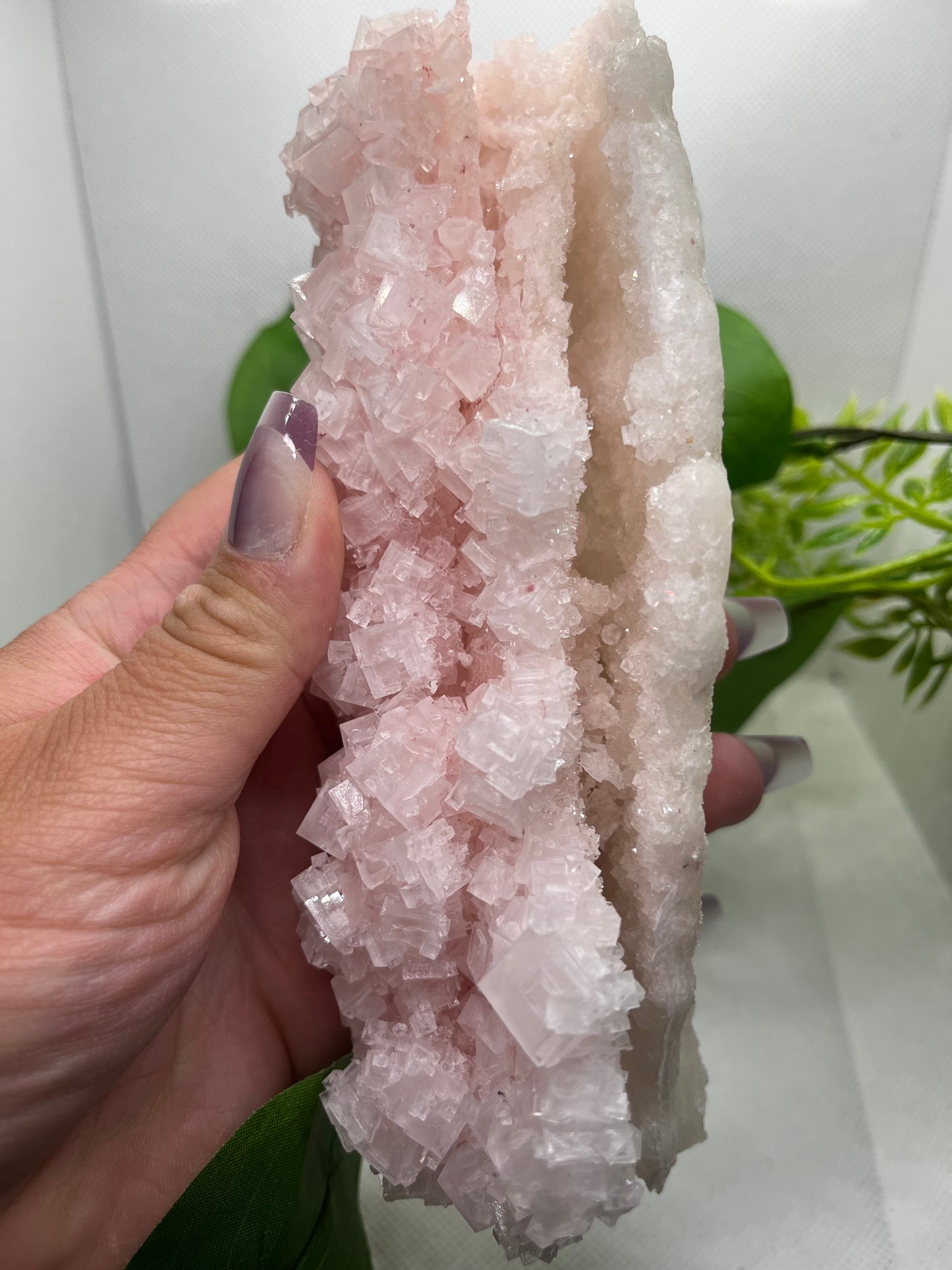 Pink halite F
