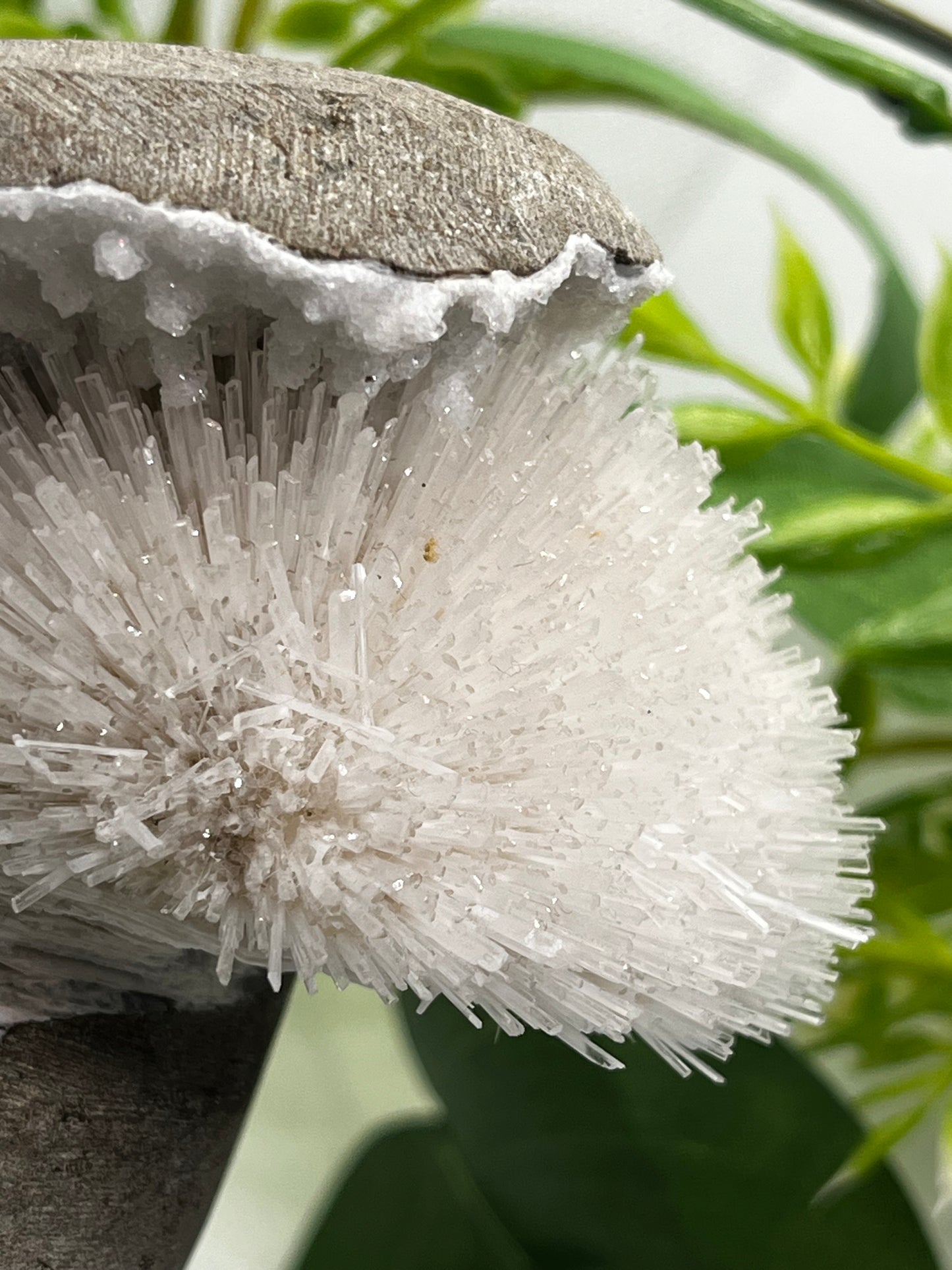 Scolecite geode L