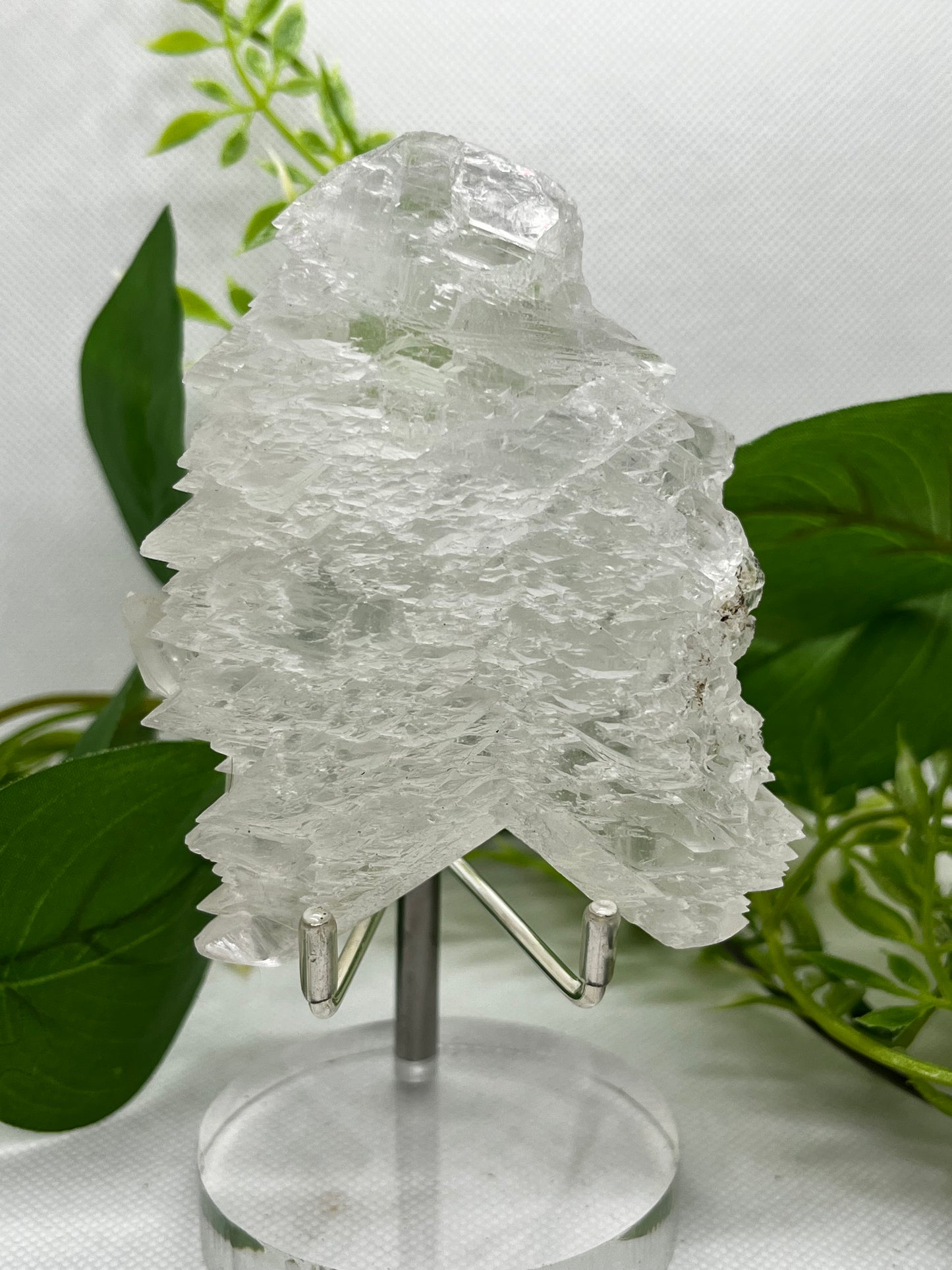 Fishtail selenite from Zona De Silencio (C)