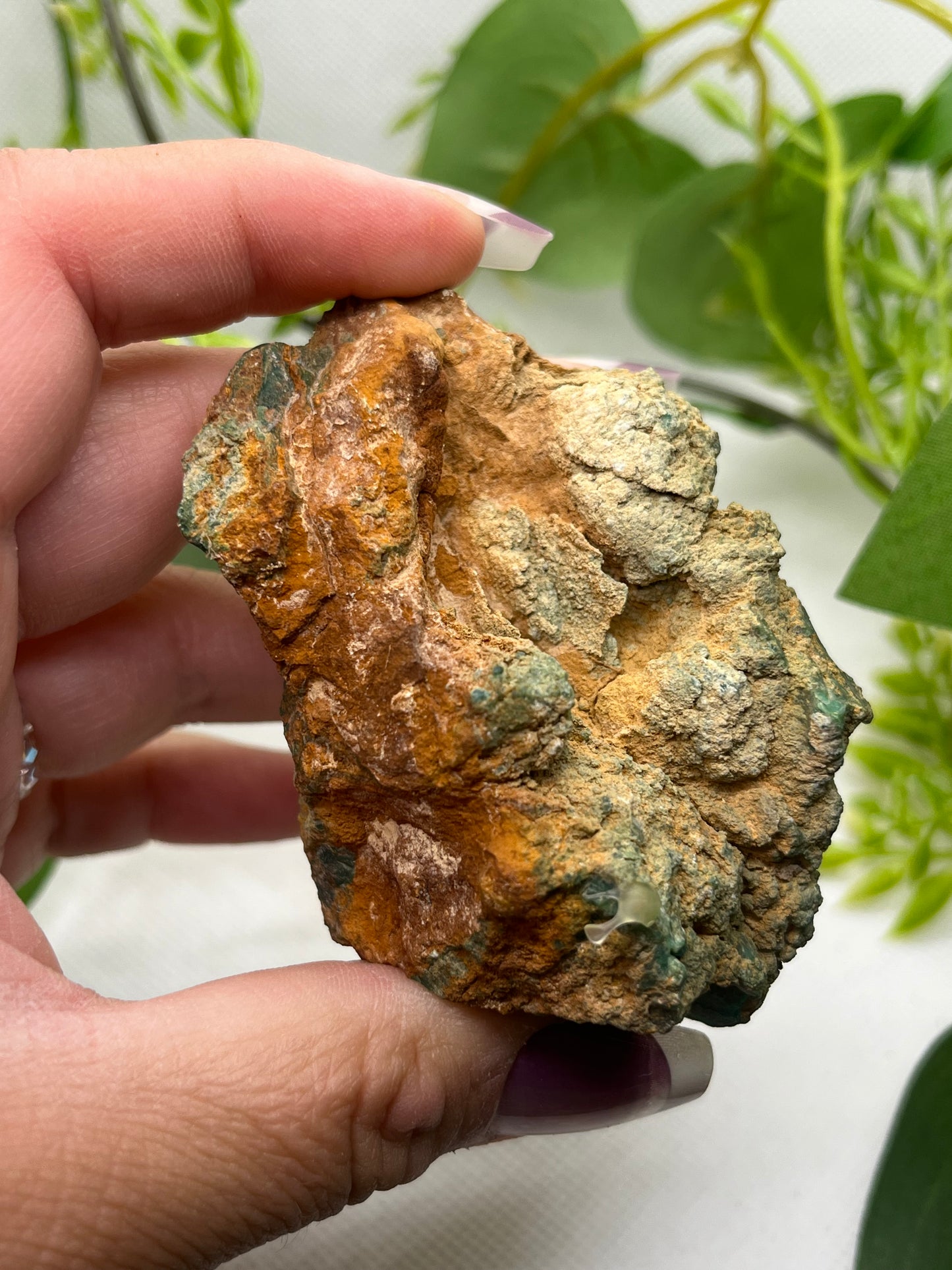 Rare Variscite from Zamora , Spain (E)