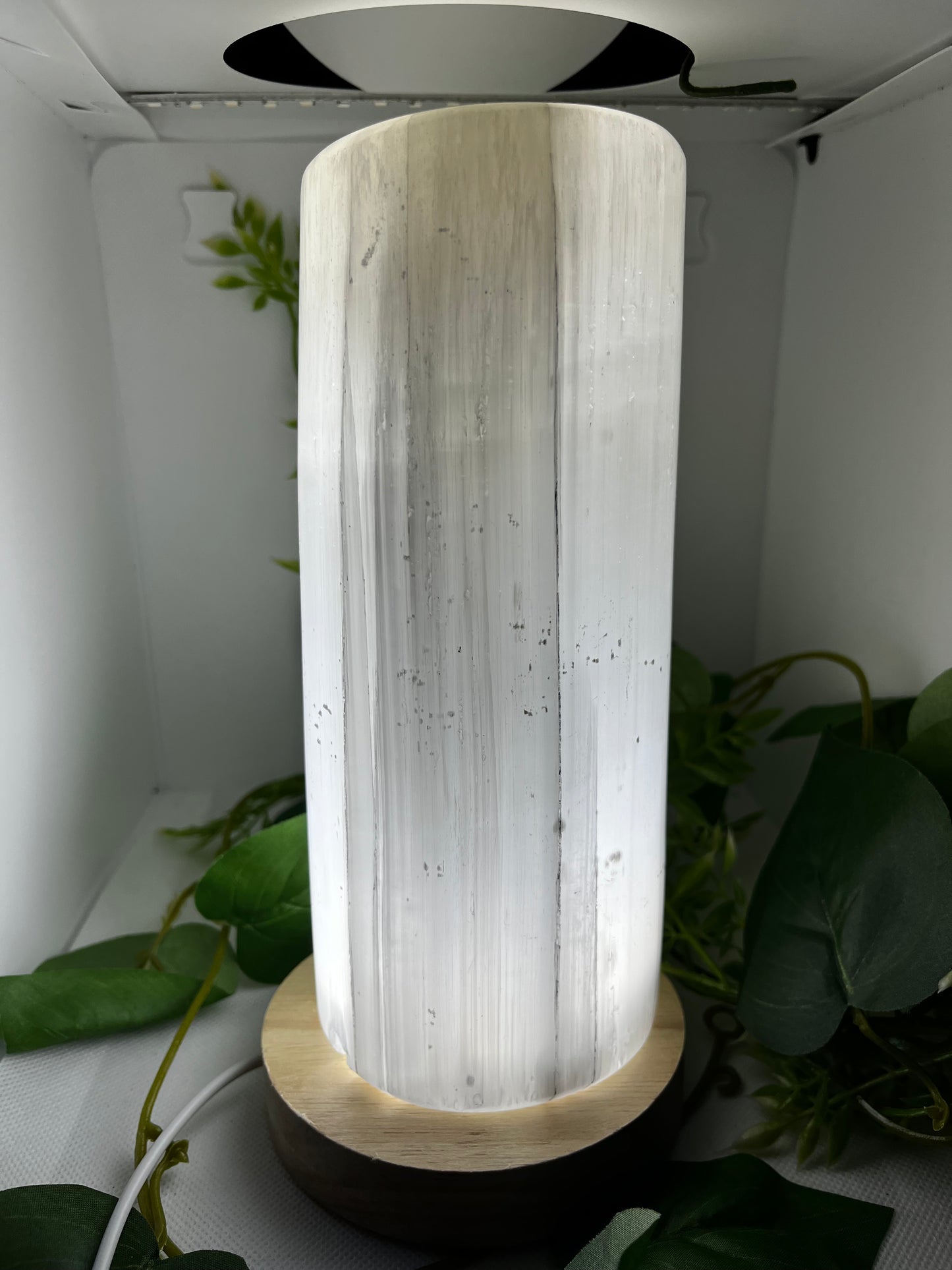 Polished Selenite lamp with light up stand