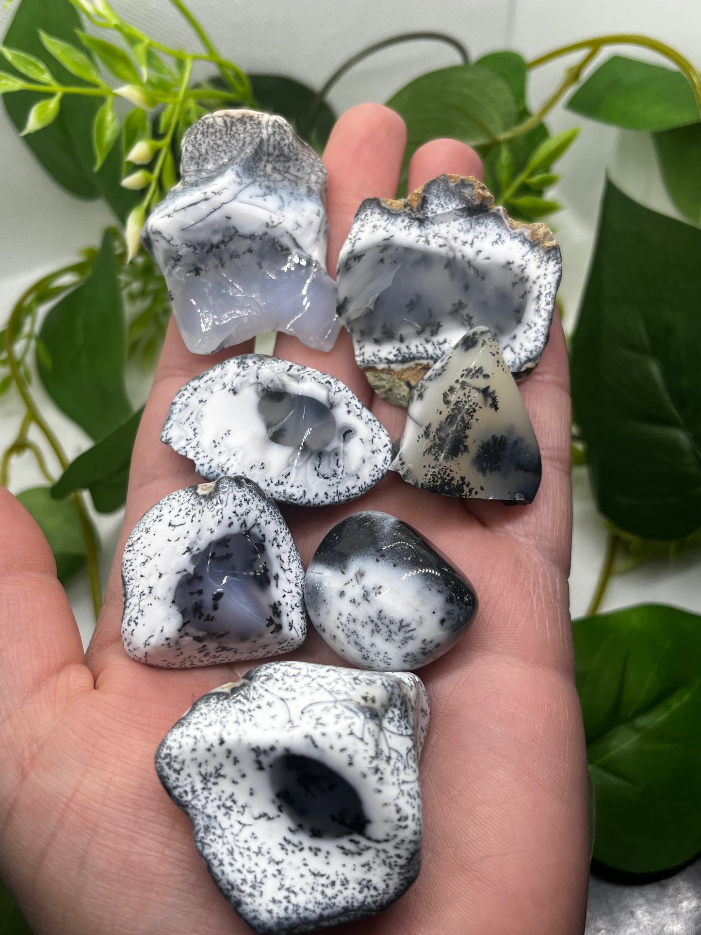 Intuitively chose Dendritic opal