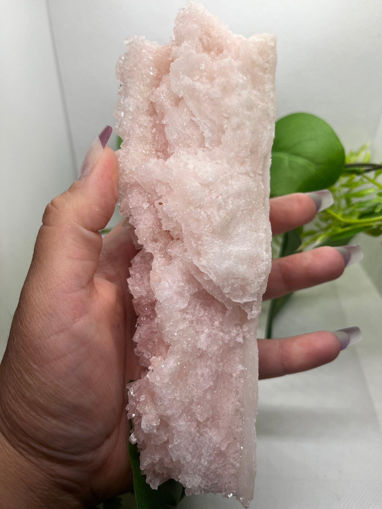 Pink halite E