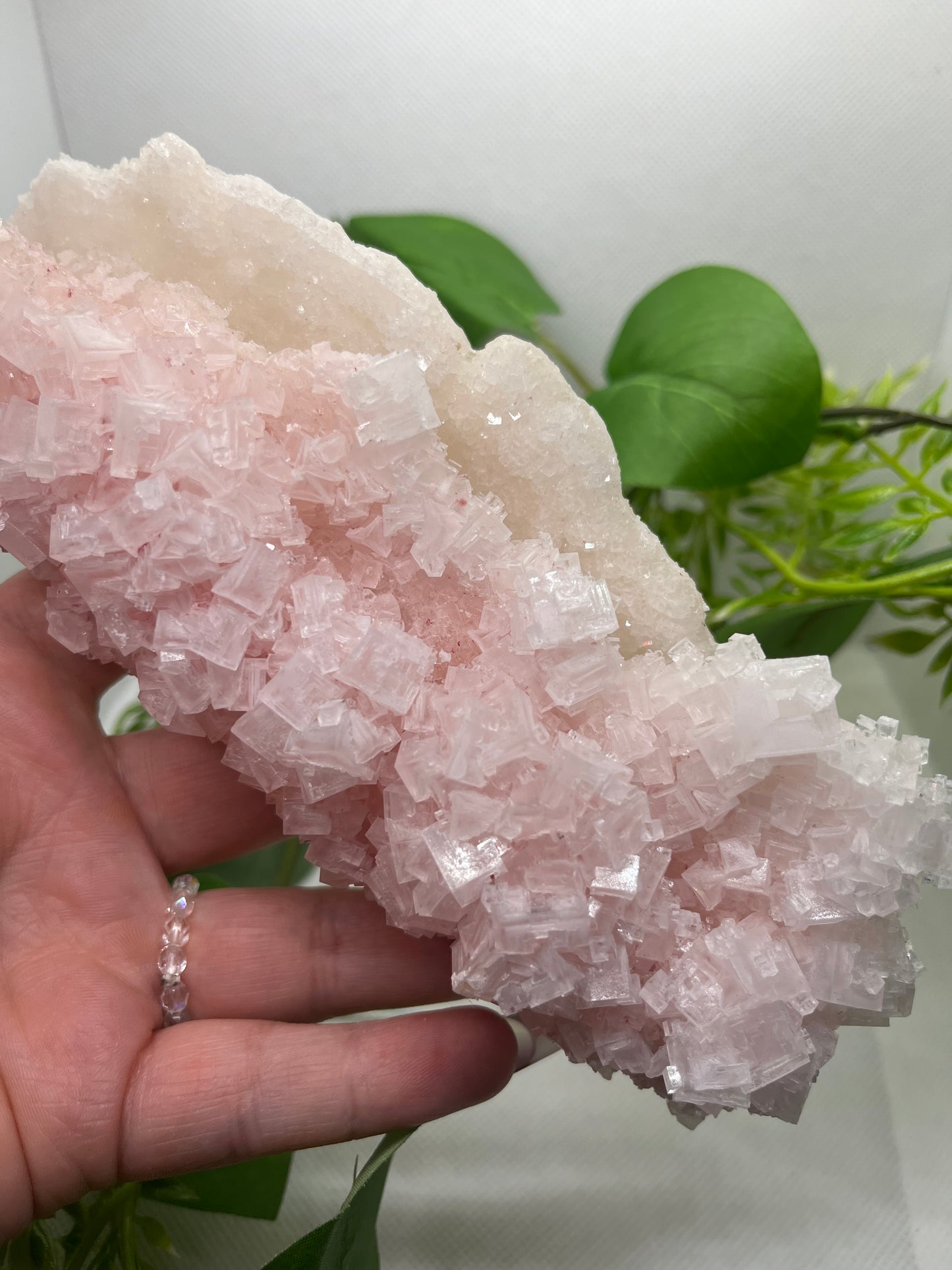 Pink halite F