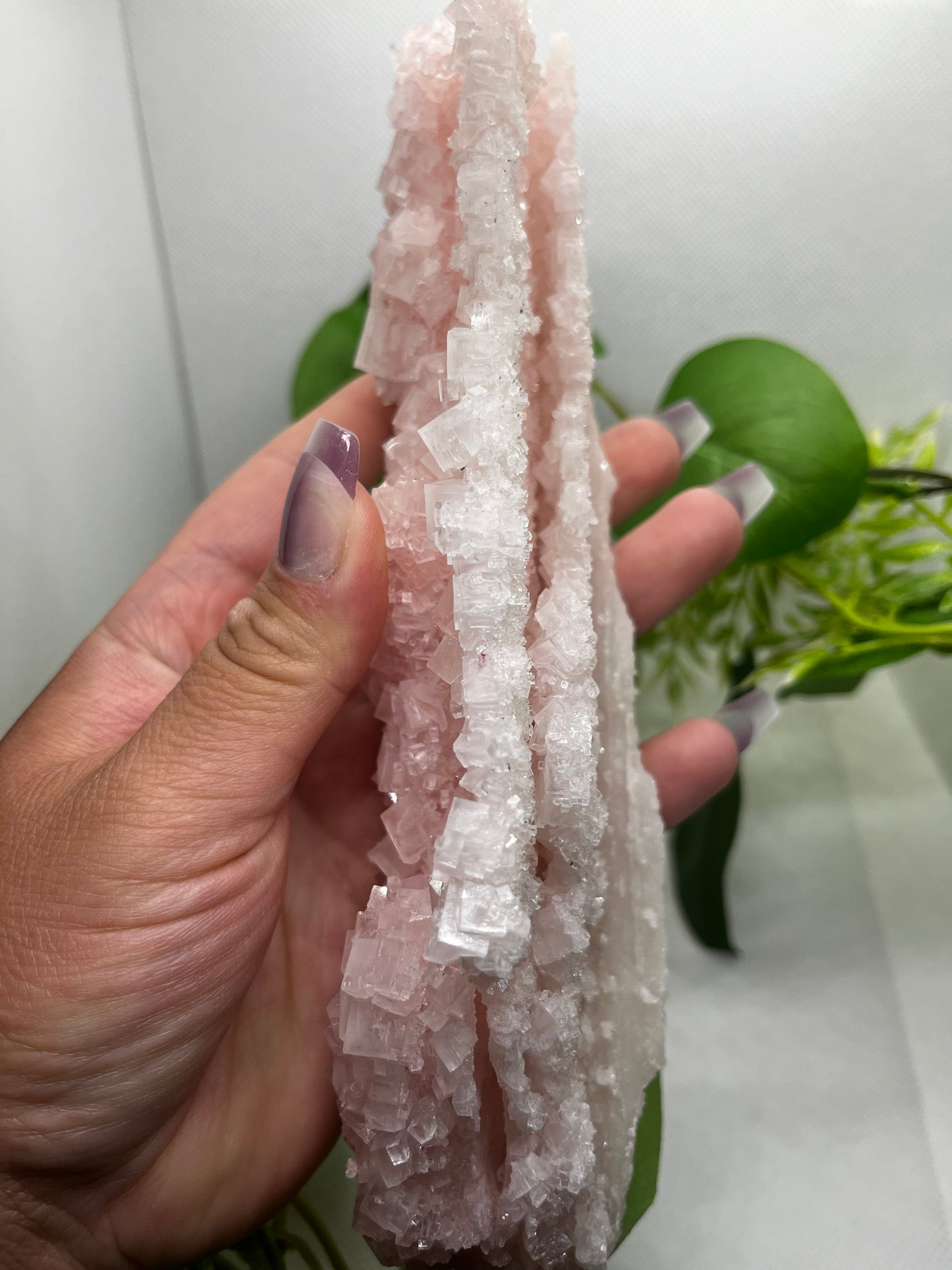 Pink halite D