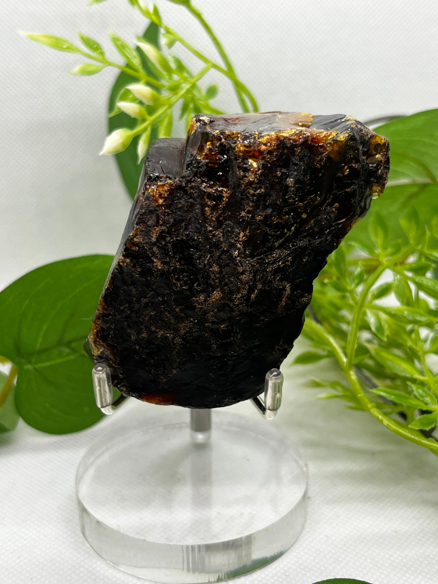 Amber from Indonesia (B)
