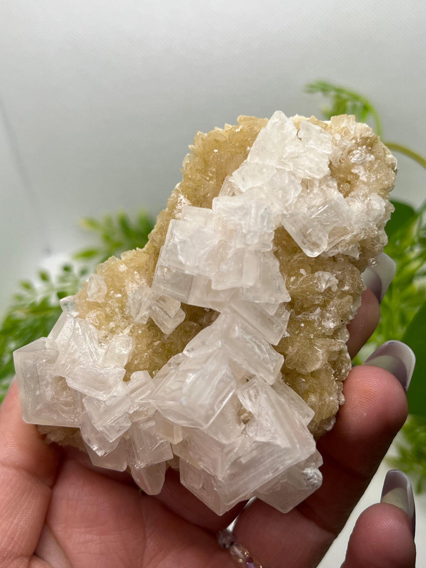 White halite from Searles lake (G)