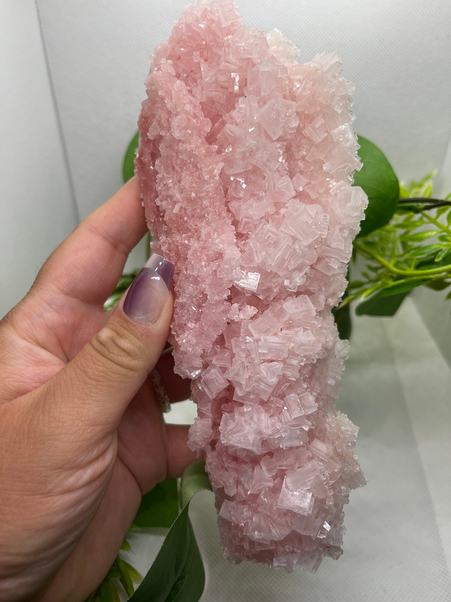Pink halite E