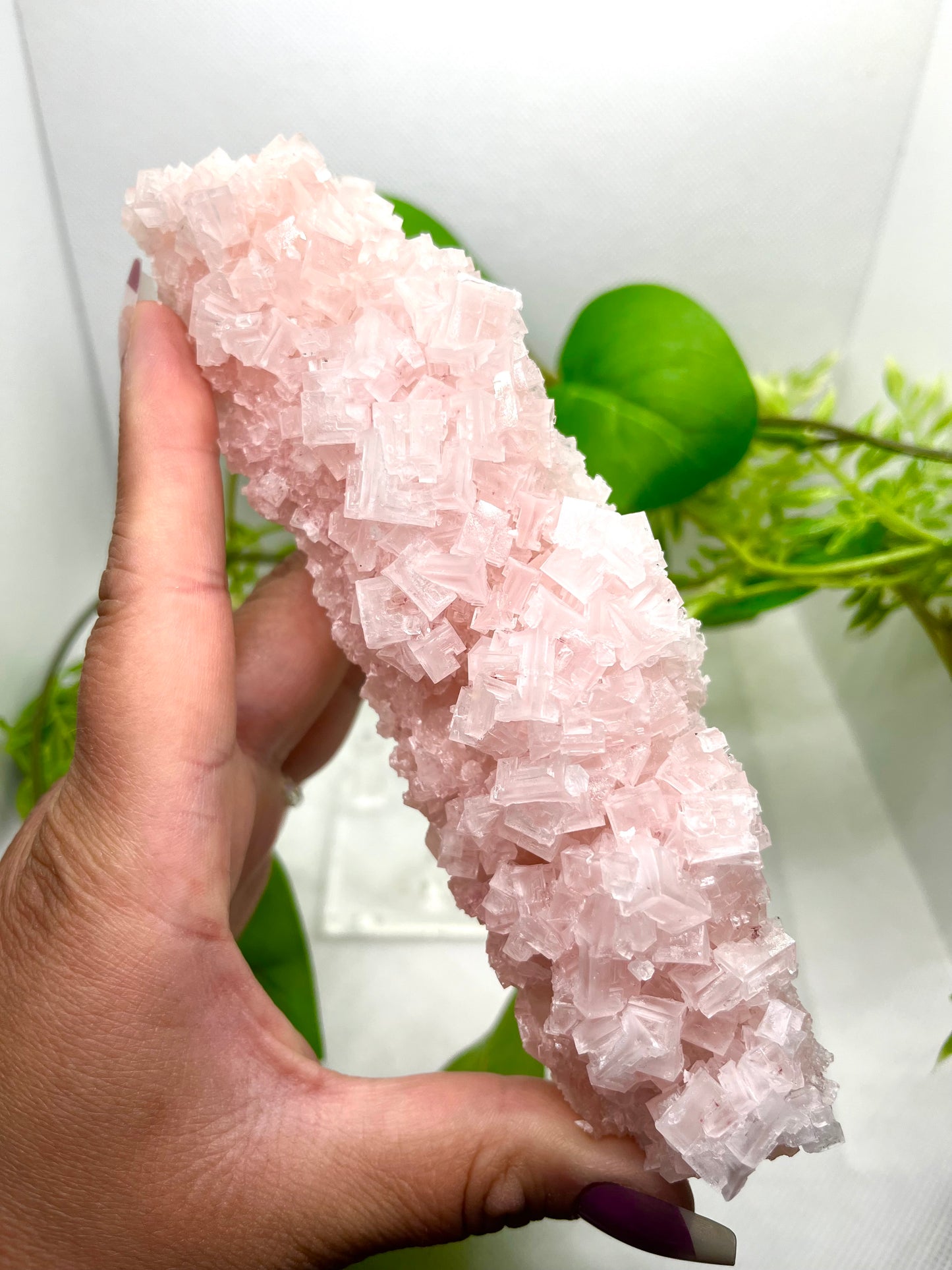 Pink halite C