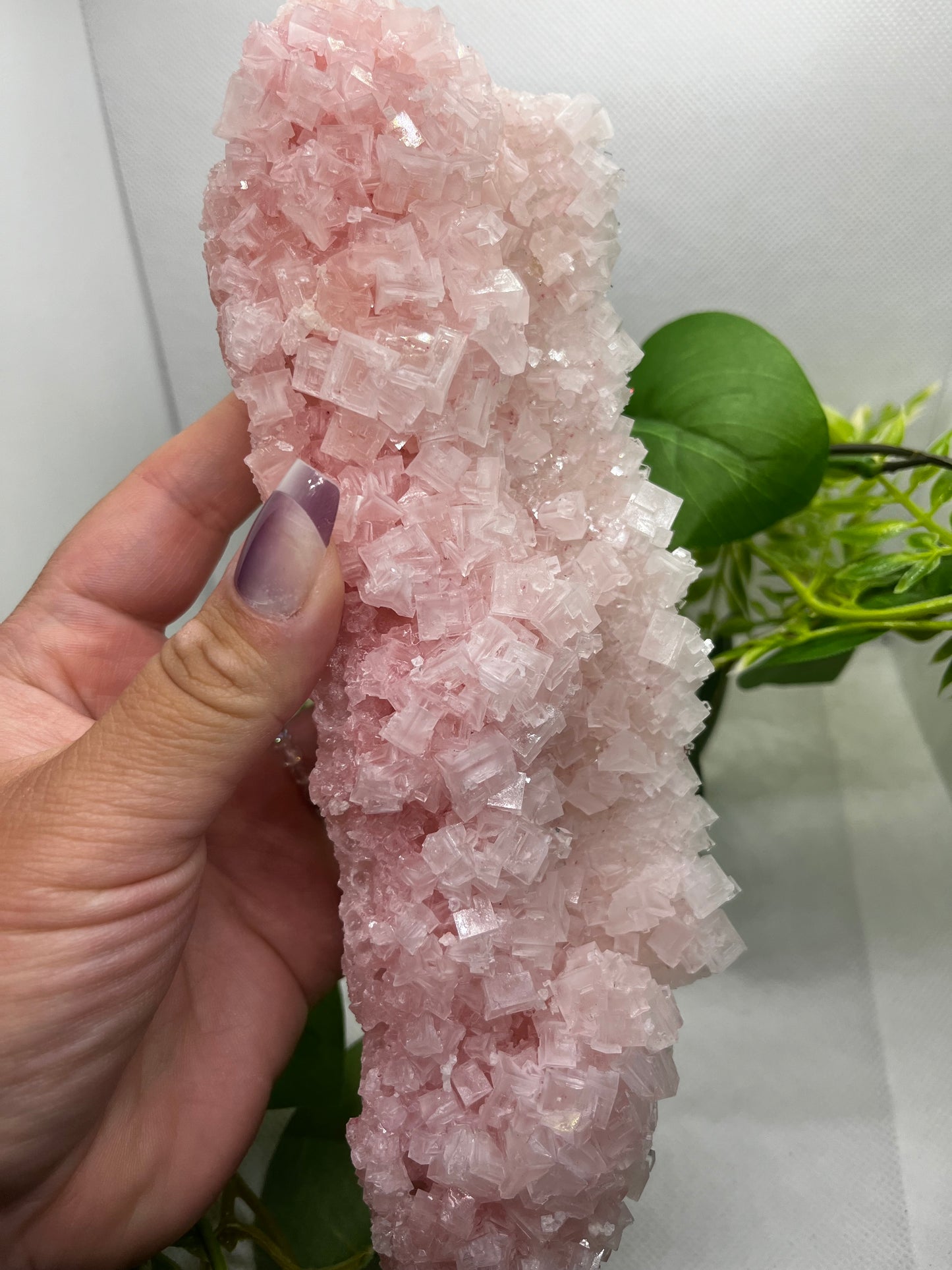 Pink halite D