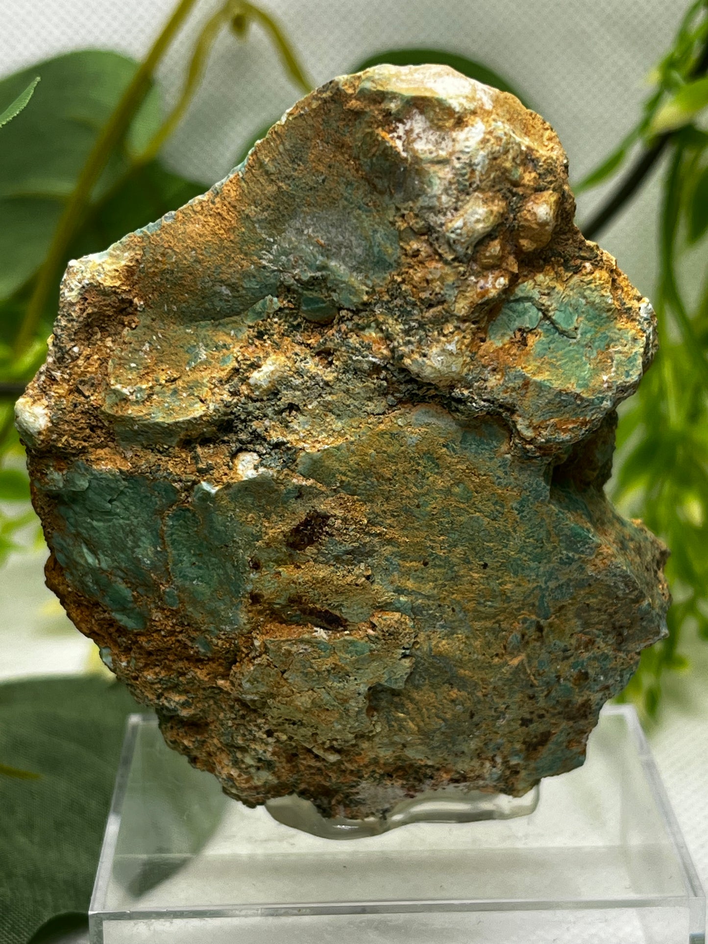 Rare Variscite from Zamora, Spain (B)