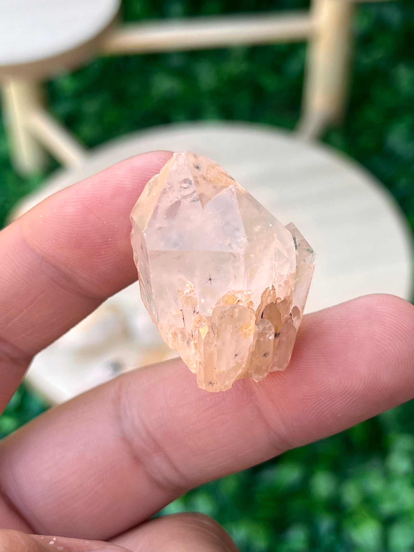 VERY RARE Hollandite Star Quartz