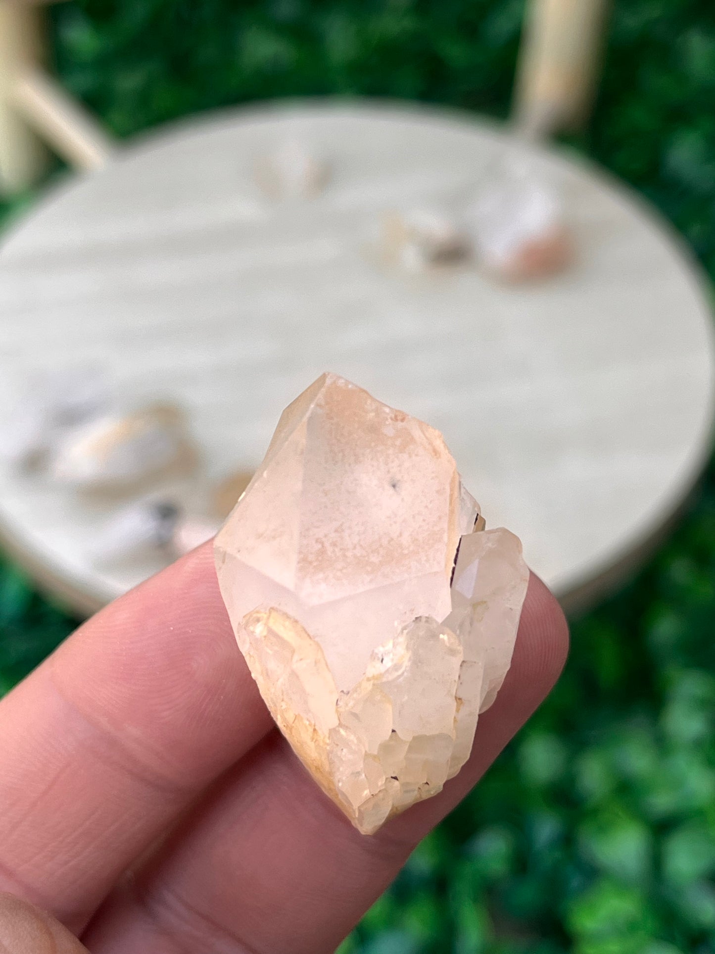 VERY RARE Hollandite Star Quartz