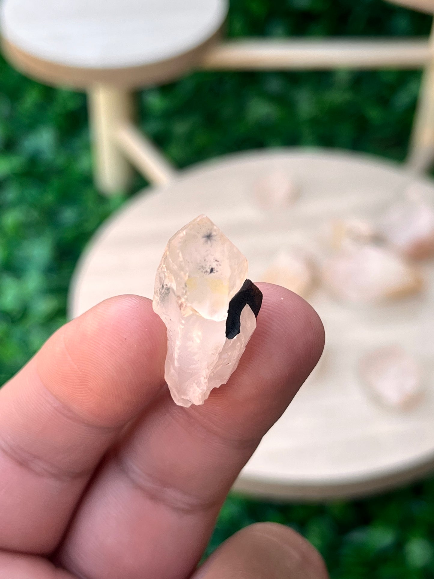 VERY RARE Hollandite Star Quartz