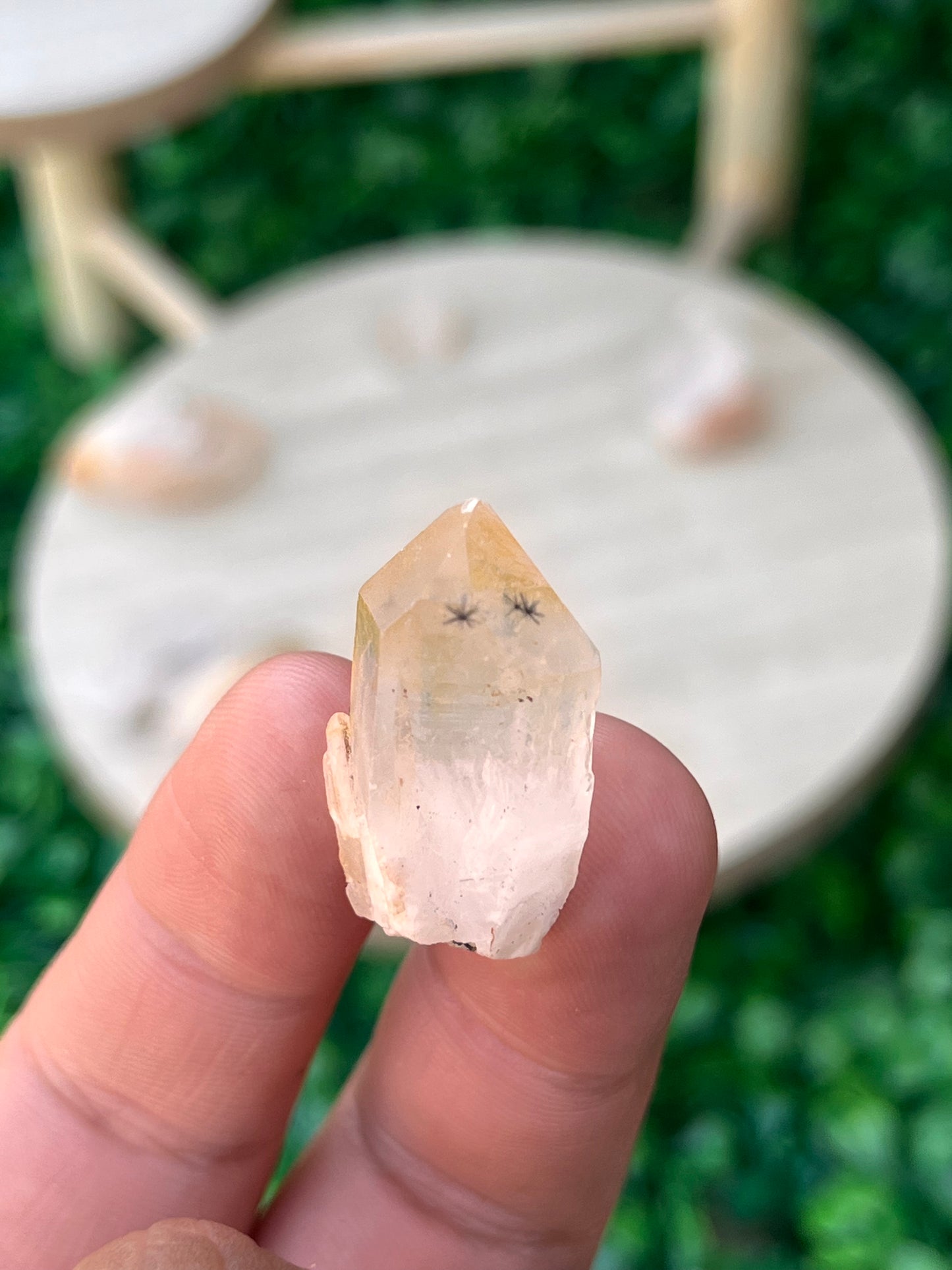 VERY RARE Hollandite Star Quartz