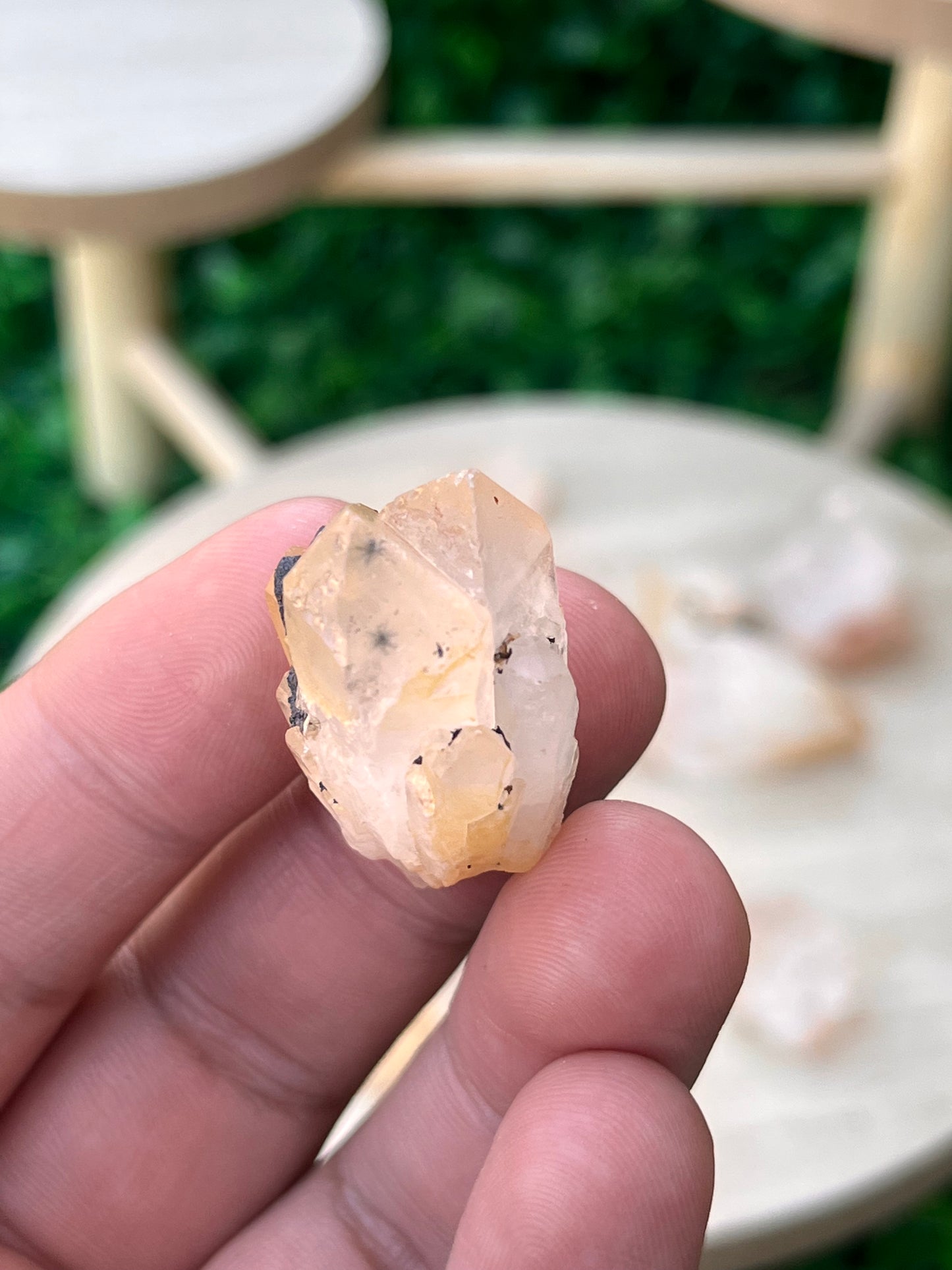 VERY RARE Hollandite Star Quartz