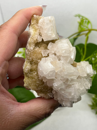 White halite from Searles lake (F)