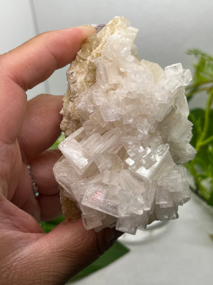 White halite from Searles lake (E)